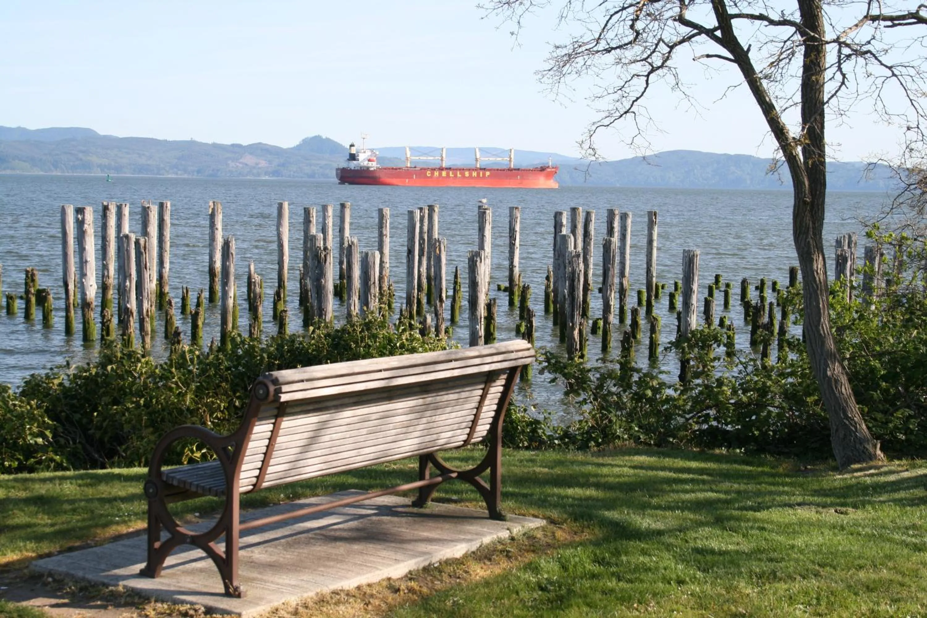 Clementine's Guest House & Vacation Rentals