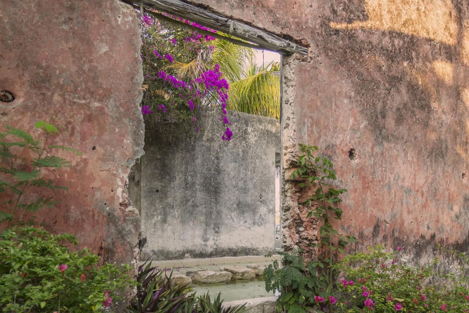 Garden in Hacienda Sacnicte