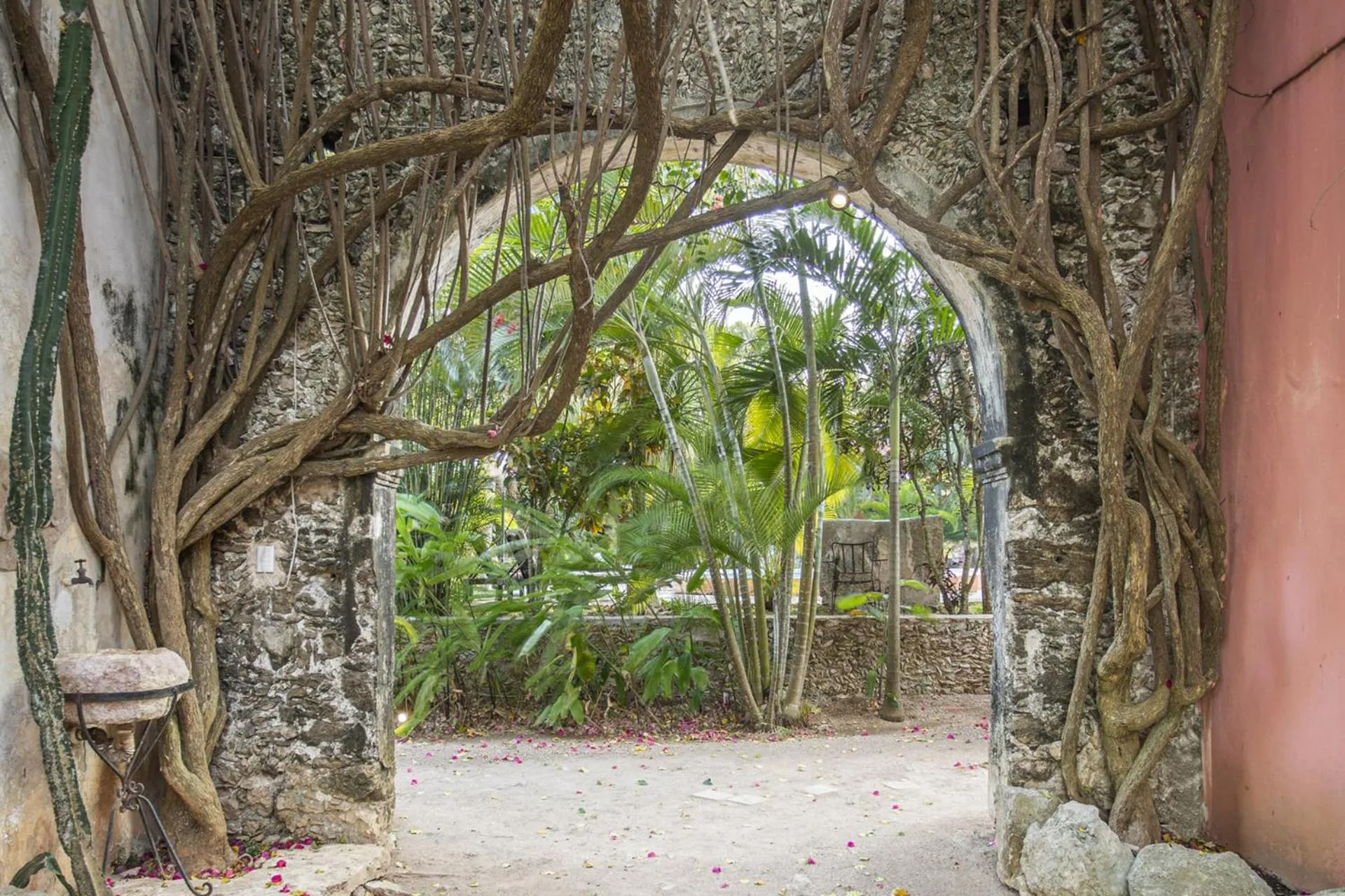 Natural landscape in Hacienda Sacnicte