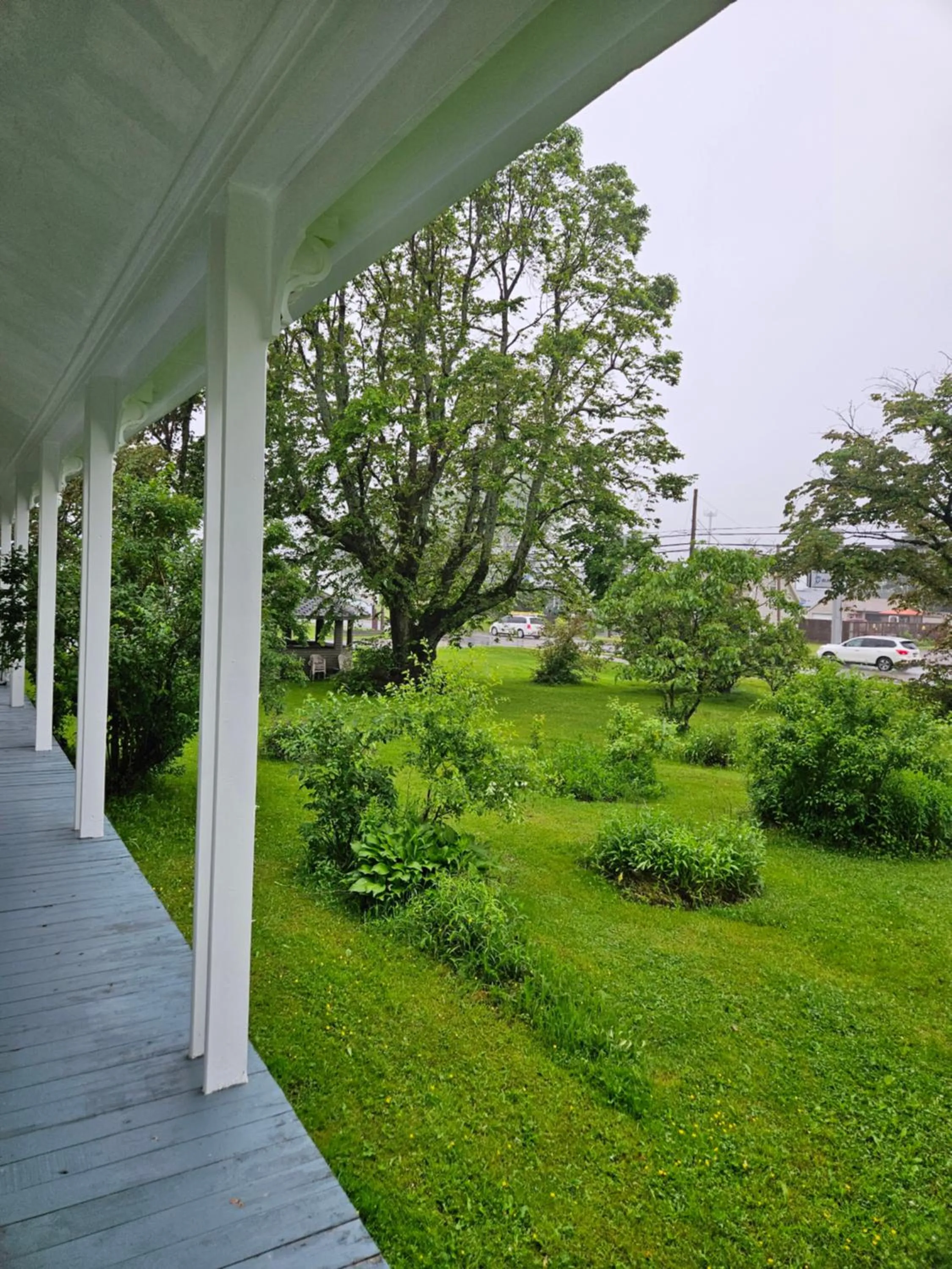 Garden view in Sunflower Guest Suites