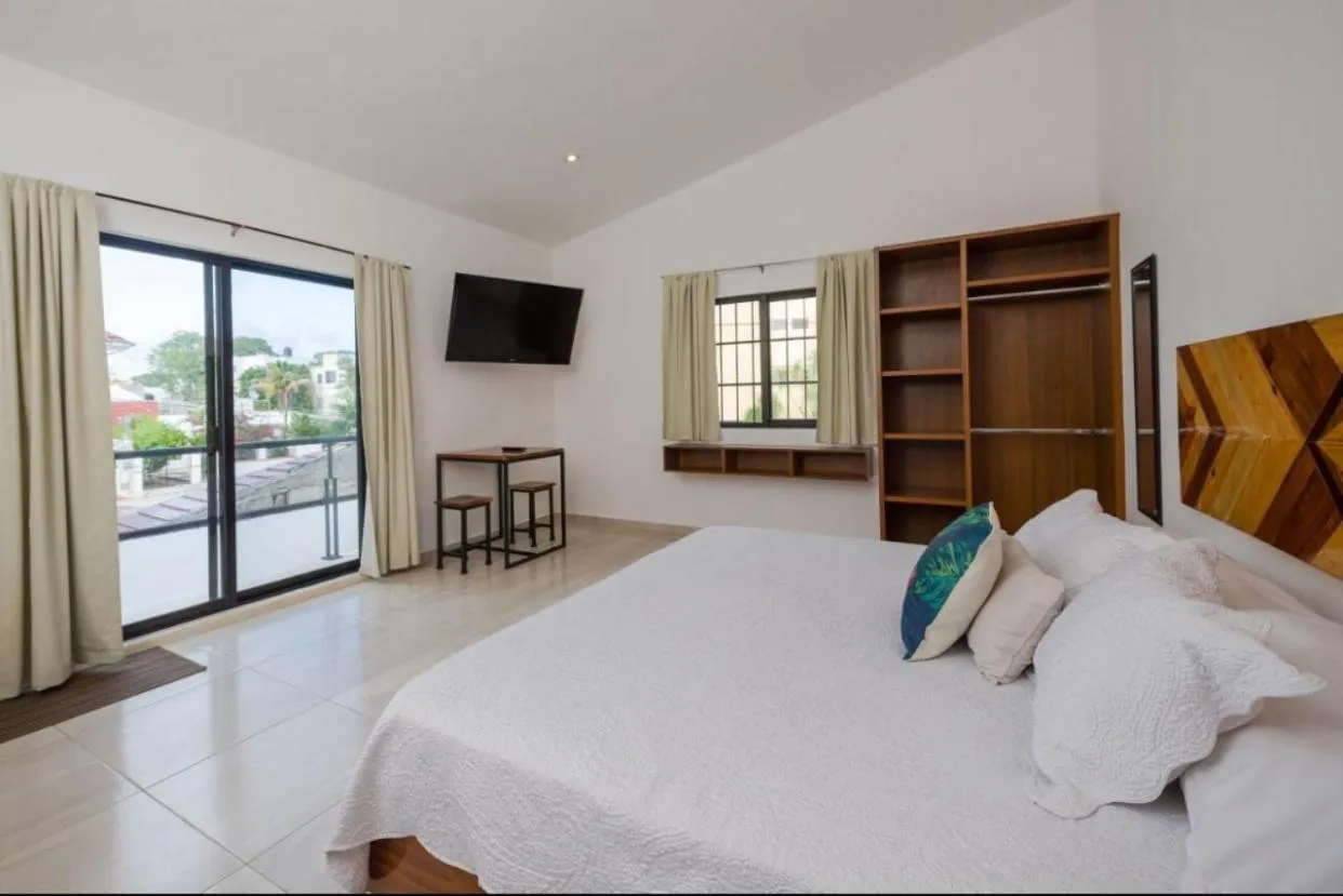 Stay tropical downtown studios