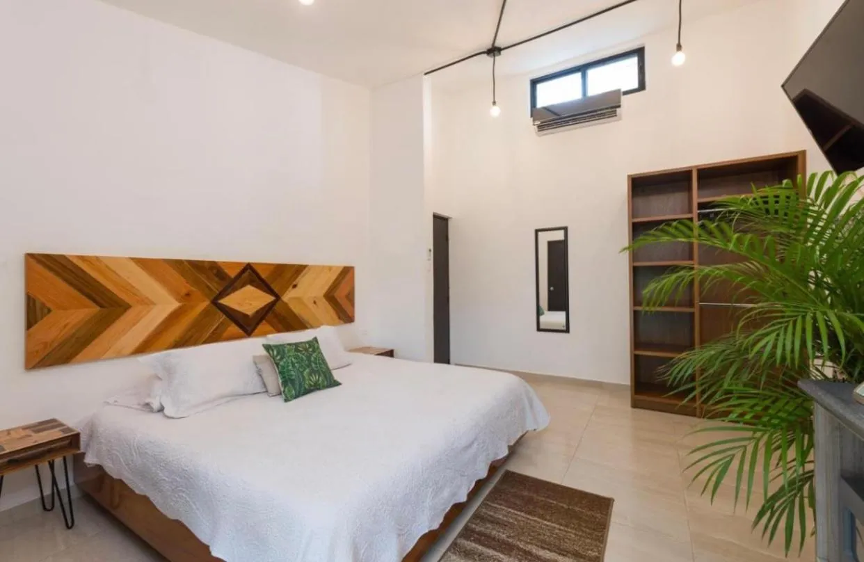 Stay tropical downtown studios