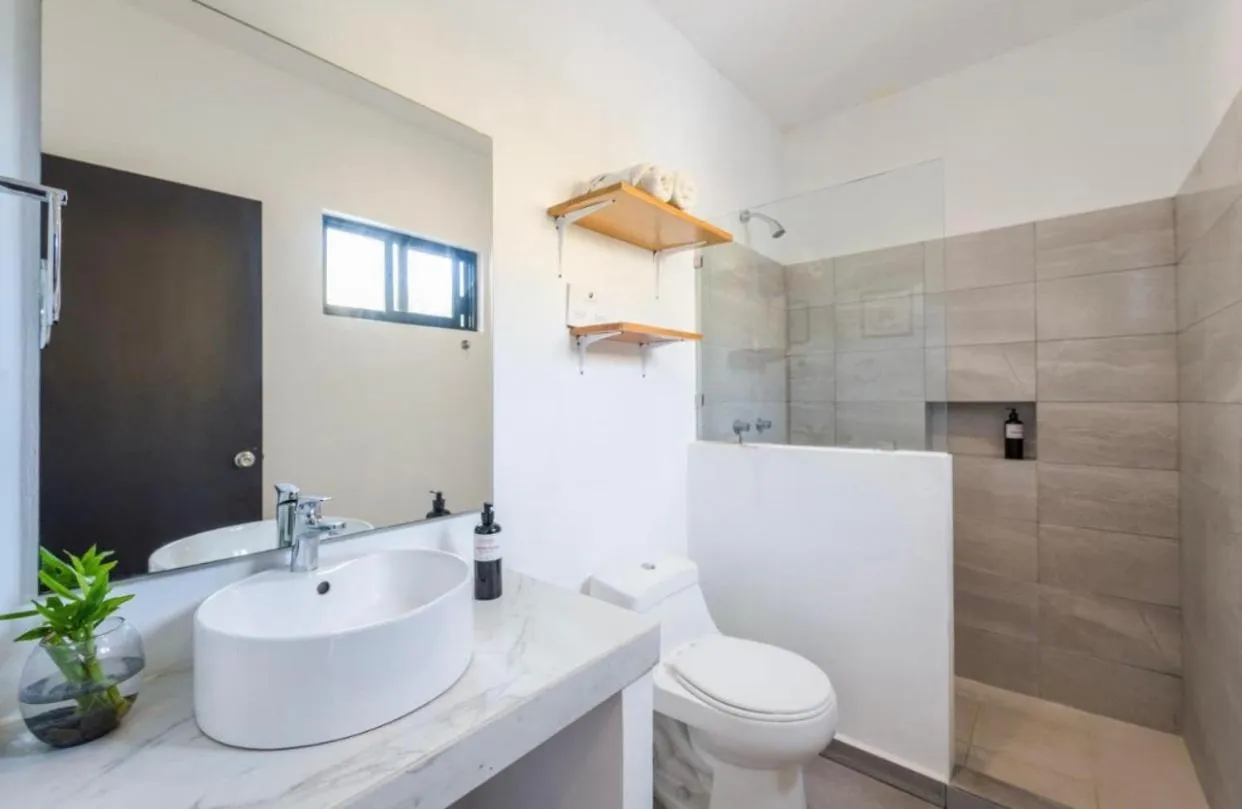 Stay tropical downtown studios