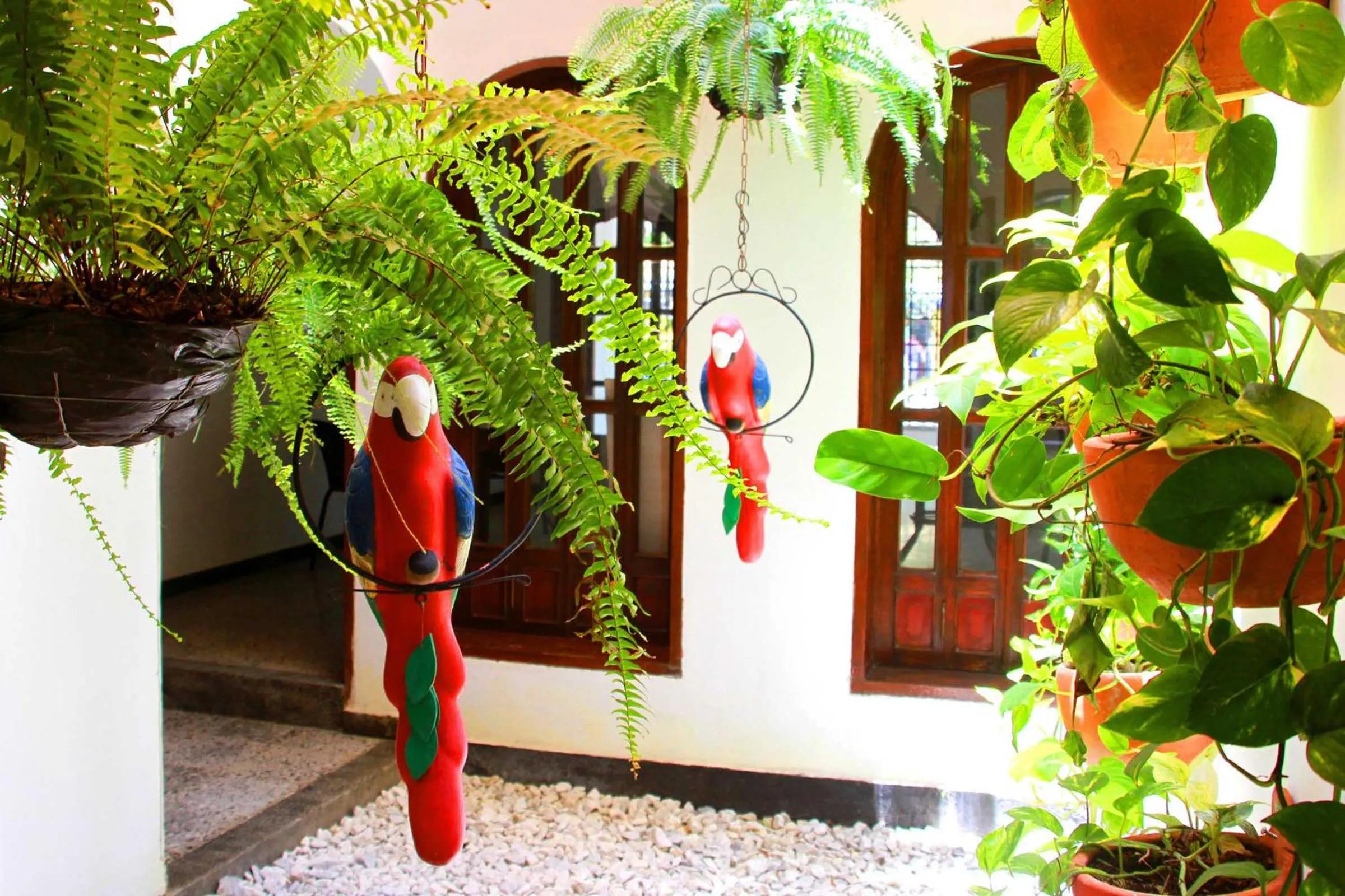 Patio in La Guaca Hostel Santa Marta