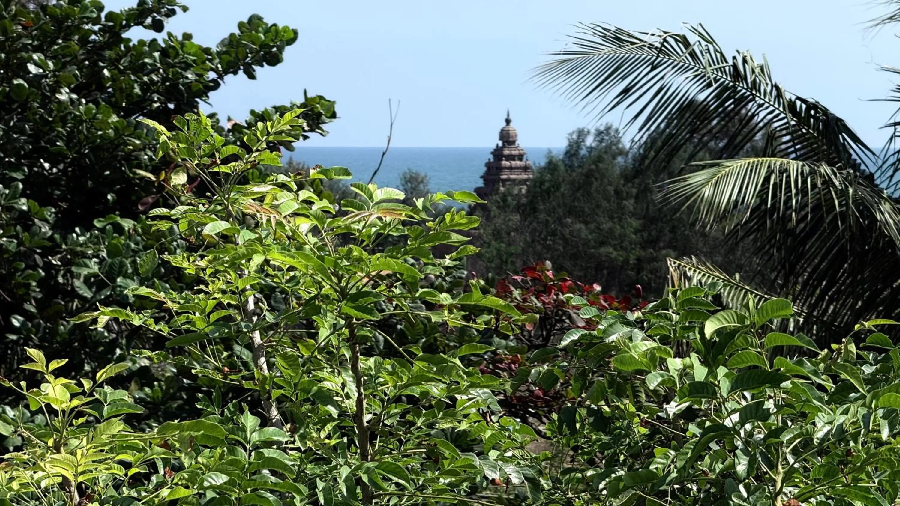 Garden in Sri Murugan Beach Paradise Hotel