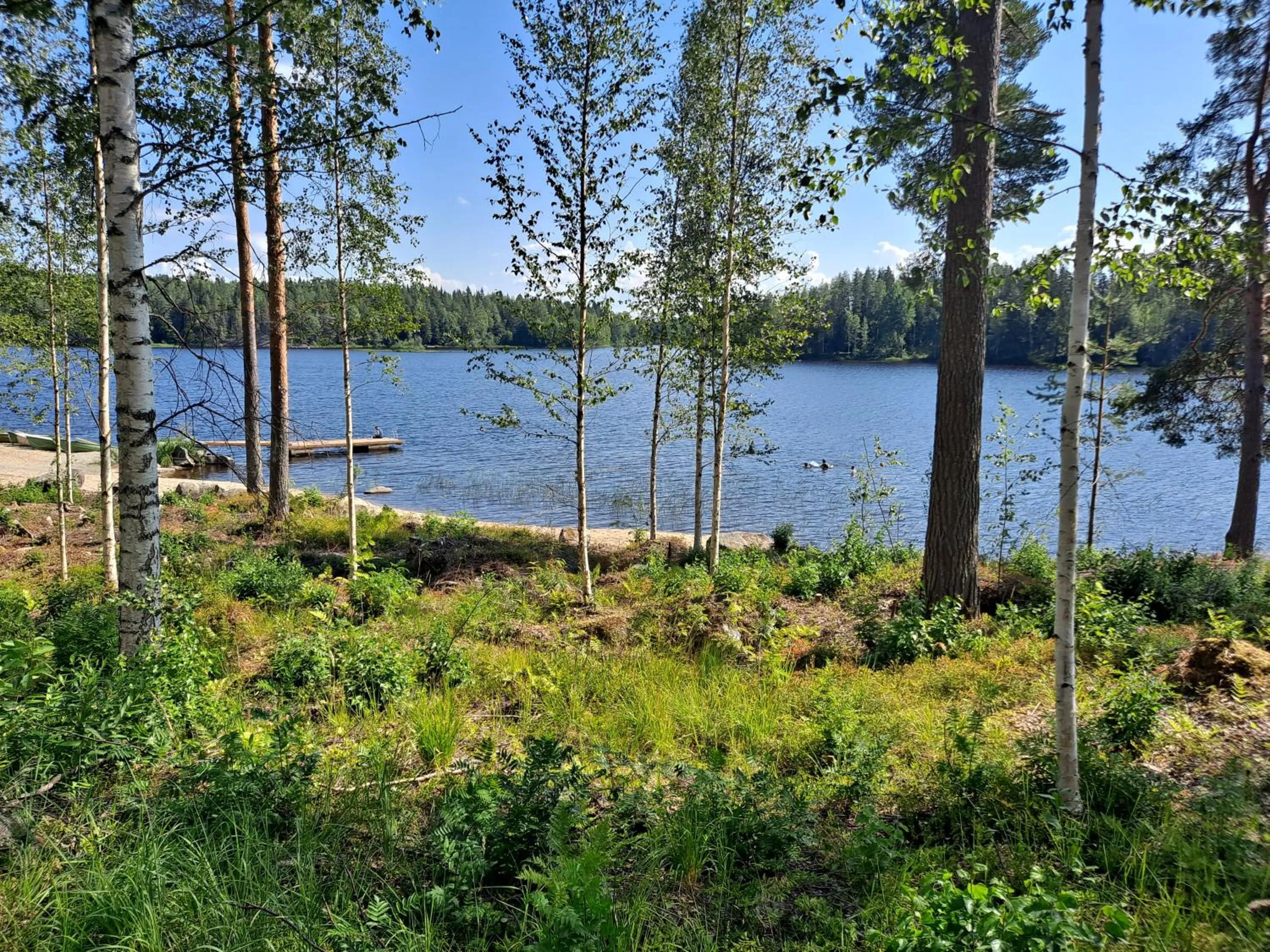 Natural landscape in Tahko Hills