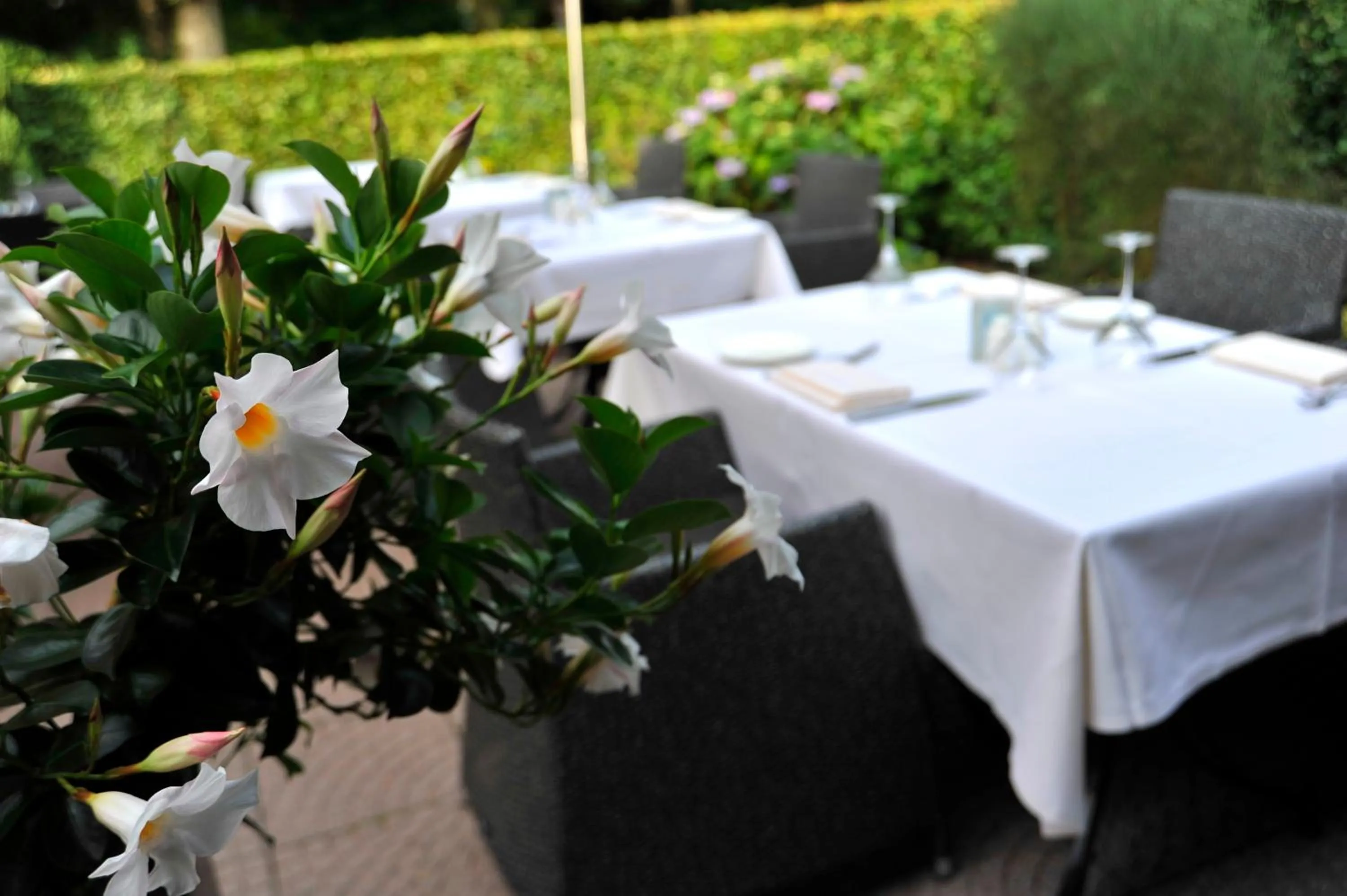 Balcony/Terrace in Parkhotel Tjaarda
