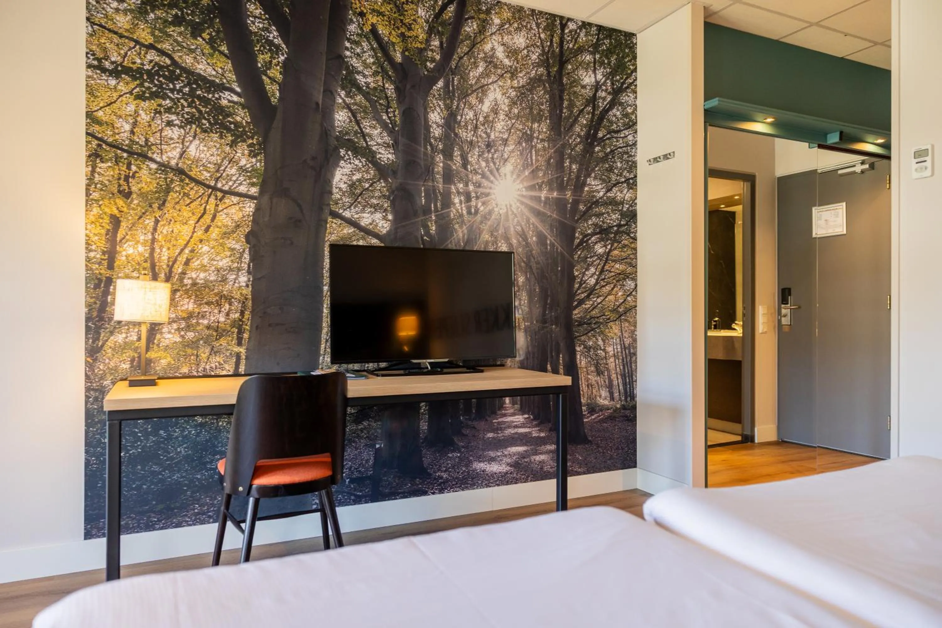 TV and multimedia in Parkhotel Tjaarda