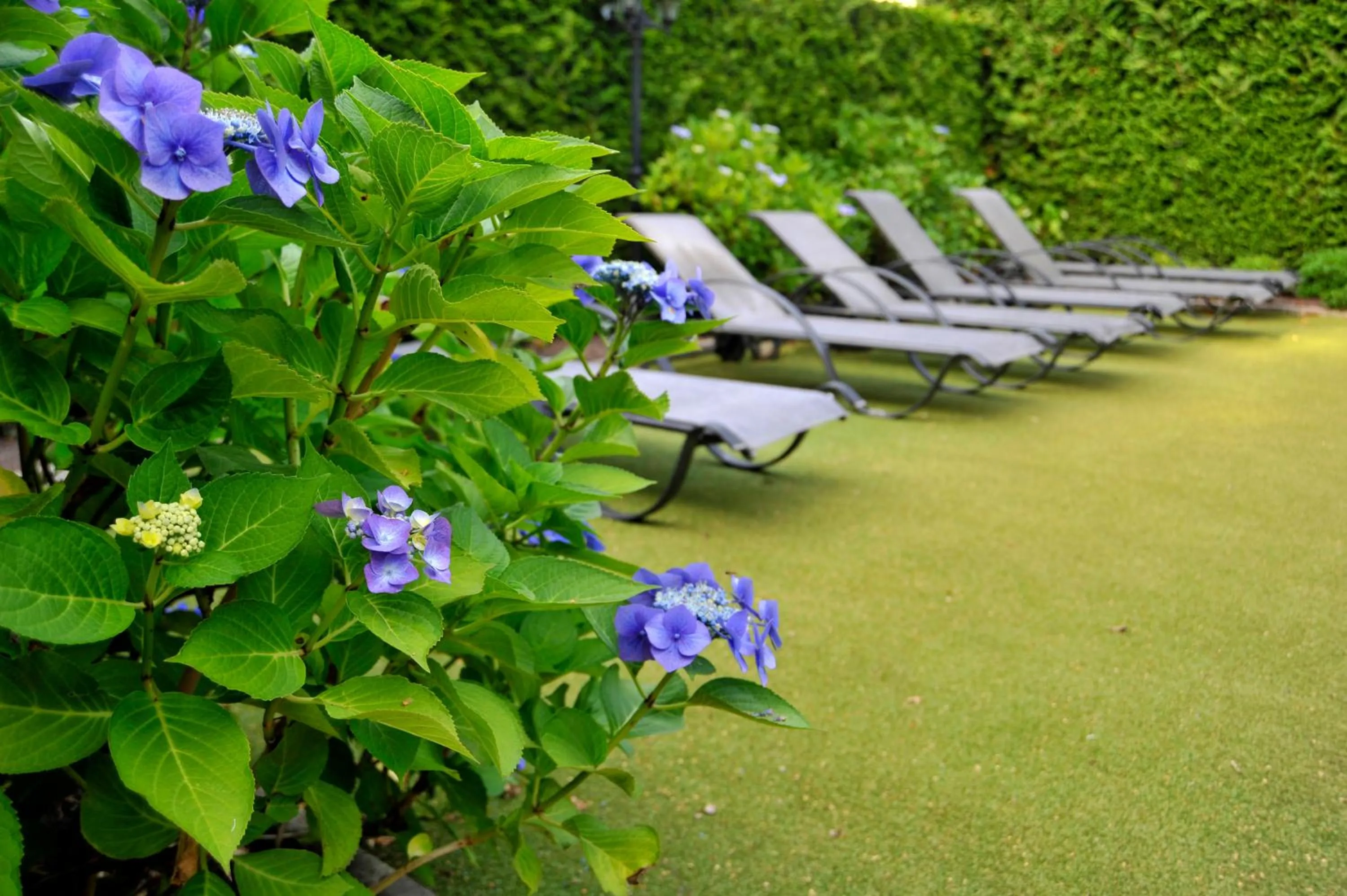Balcony/Terrace in Parkhotel Tjaarda