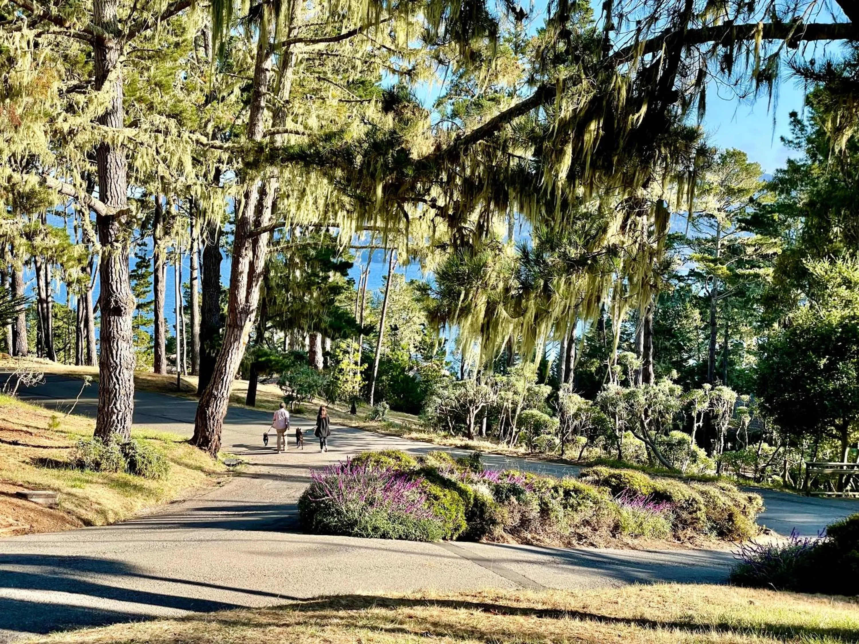 Property building in Lodge At Marconi