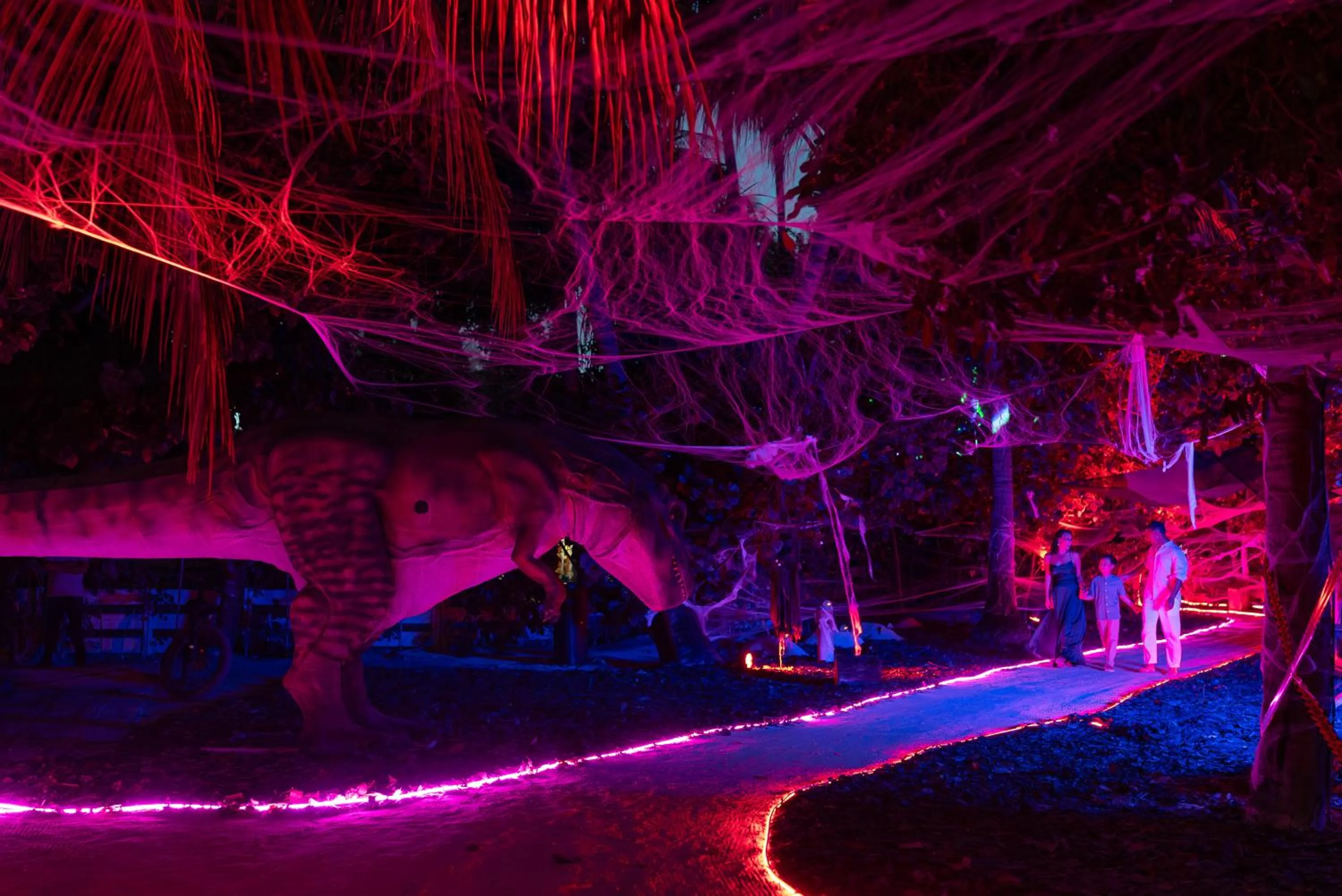 Activities in Atmosphere Kanifushi - Premium All Inclusive with Free Transfers