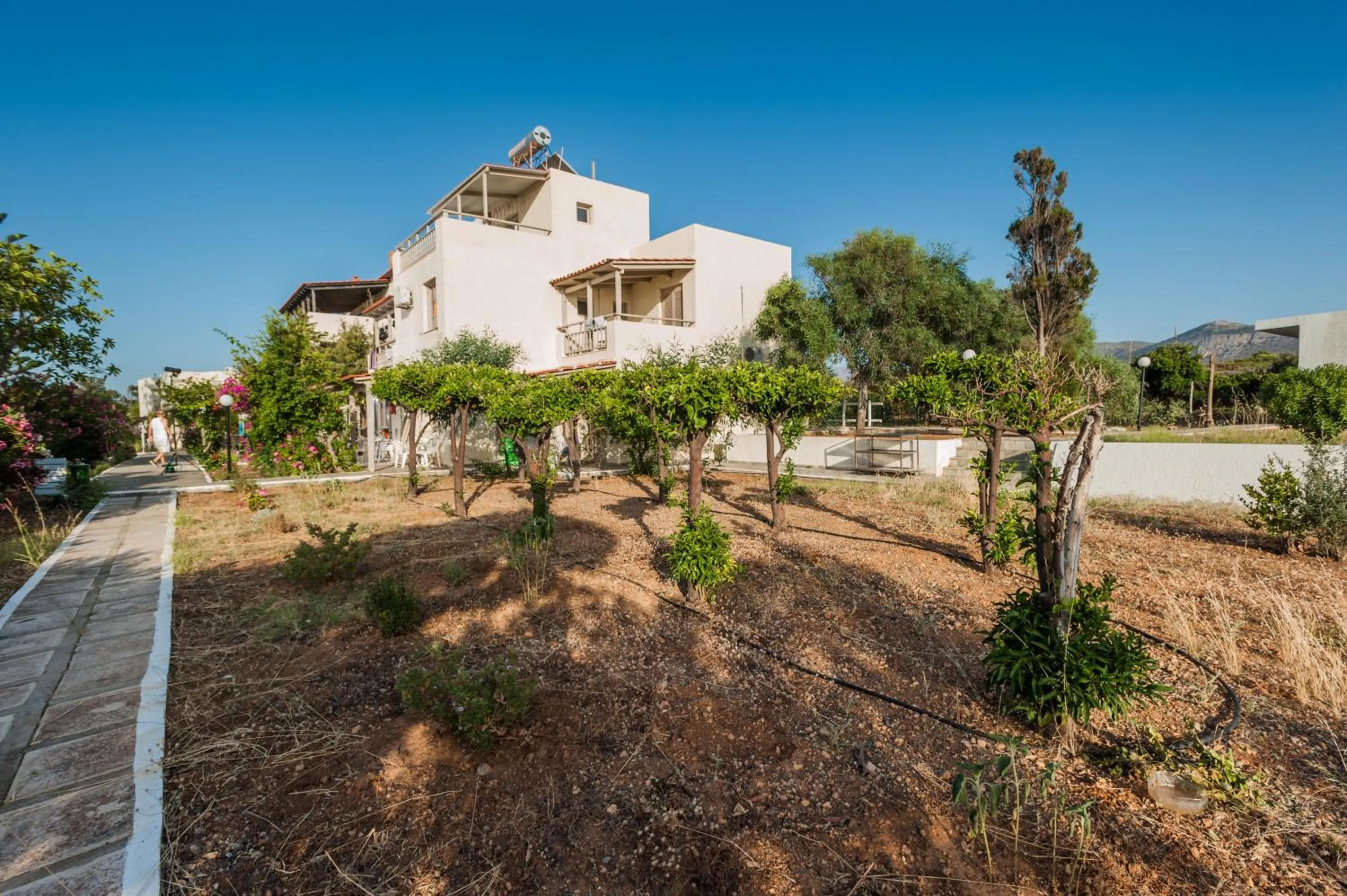 Garden in Panorama-Seaview Studios & Apartments