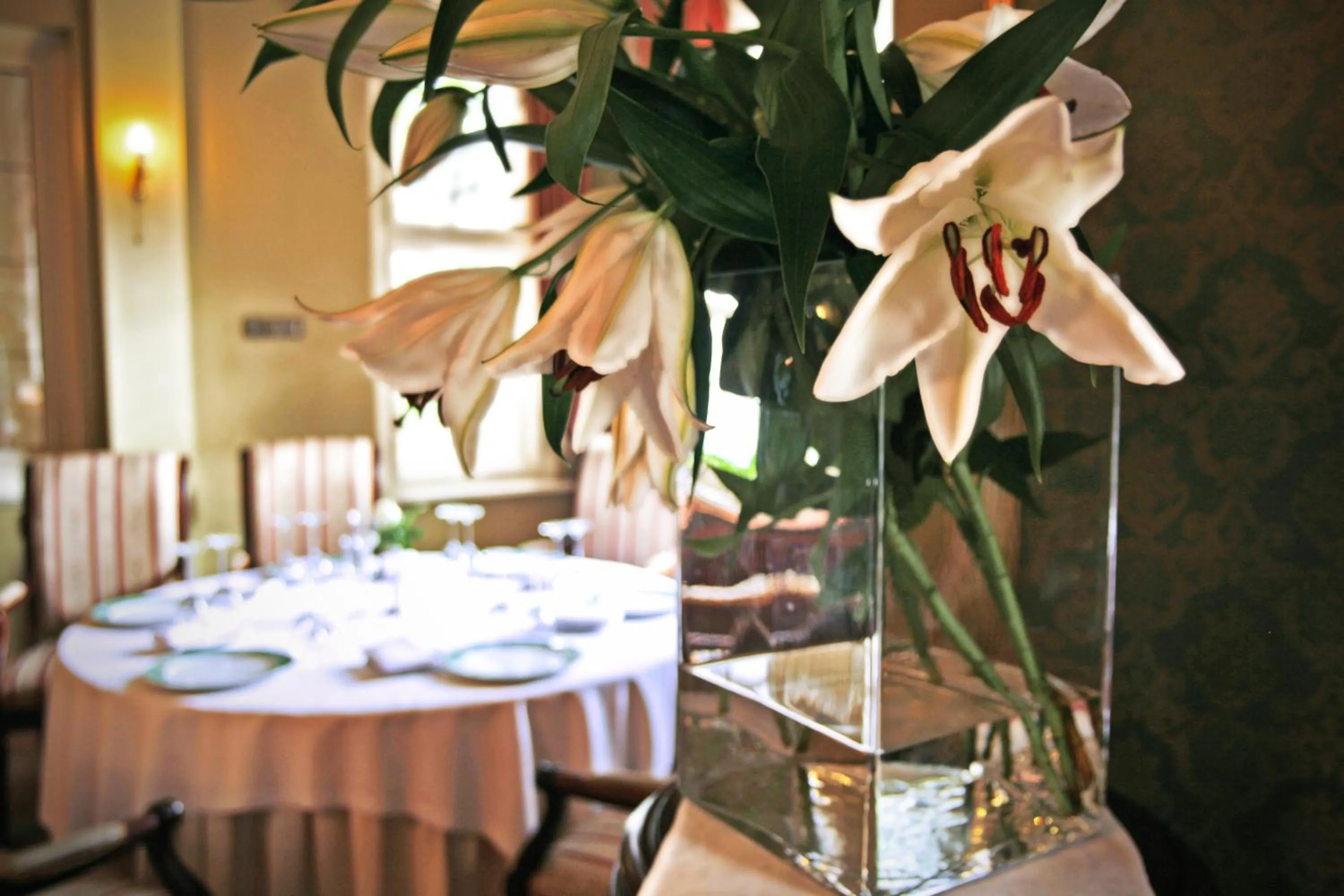 Restaurant/places to eat in Rezydencja Willa Park & Restauracja