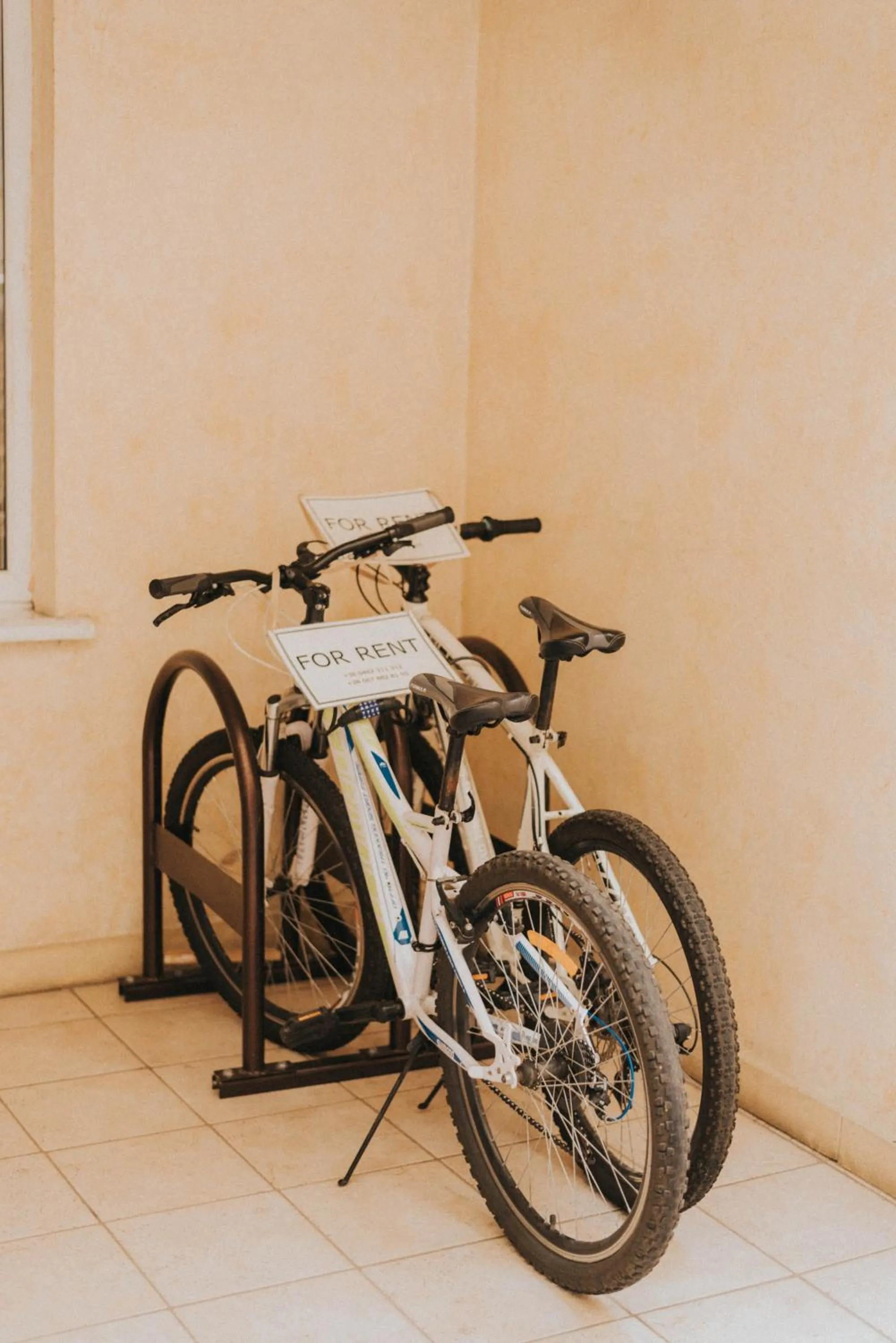 Cycling in Premier Geneva Hotel