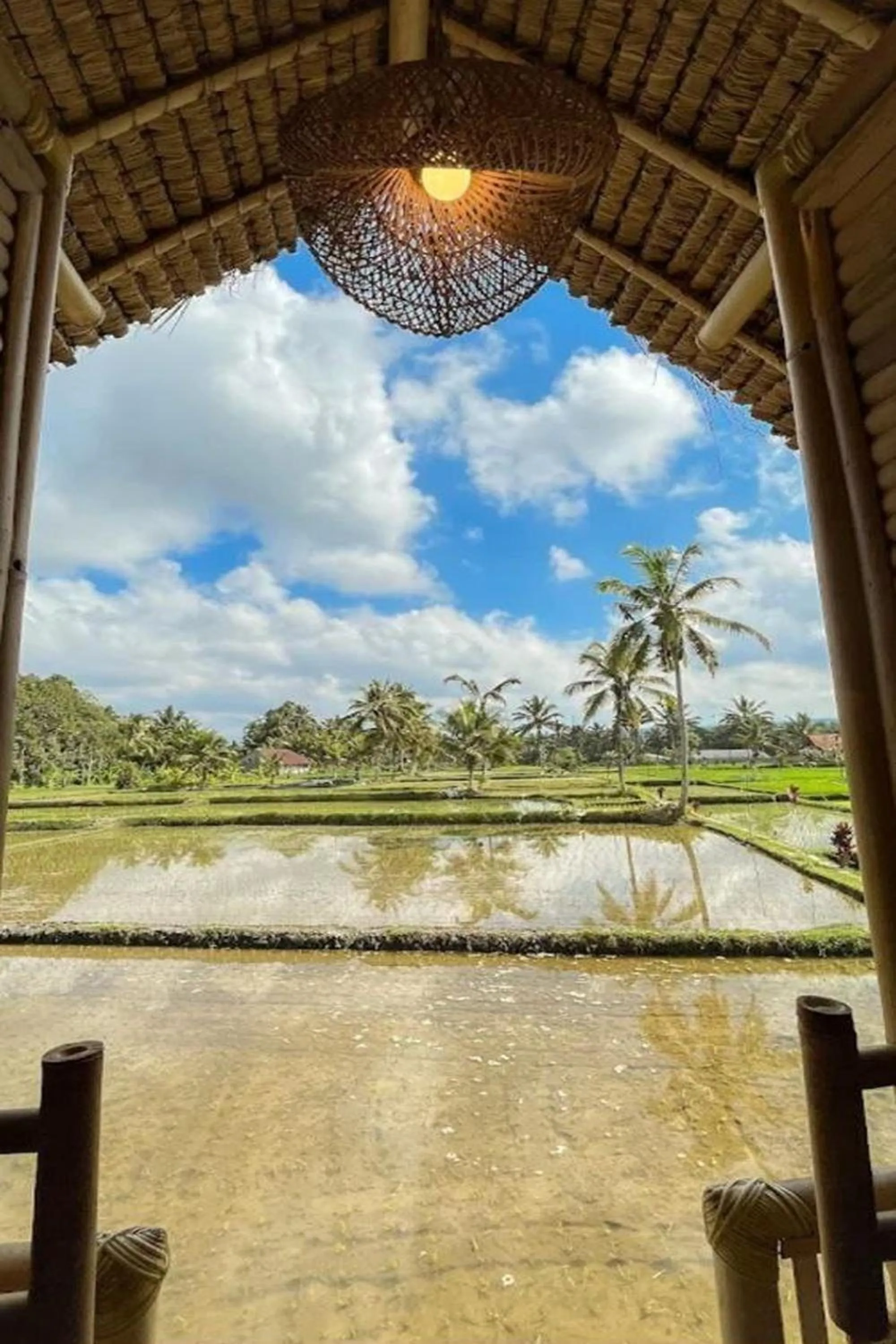 Balcony/Terrace in Tiny ECO Bamboo Ubud