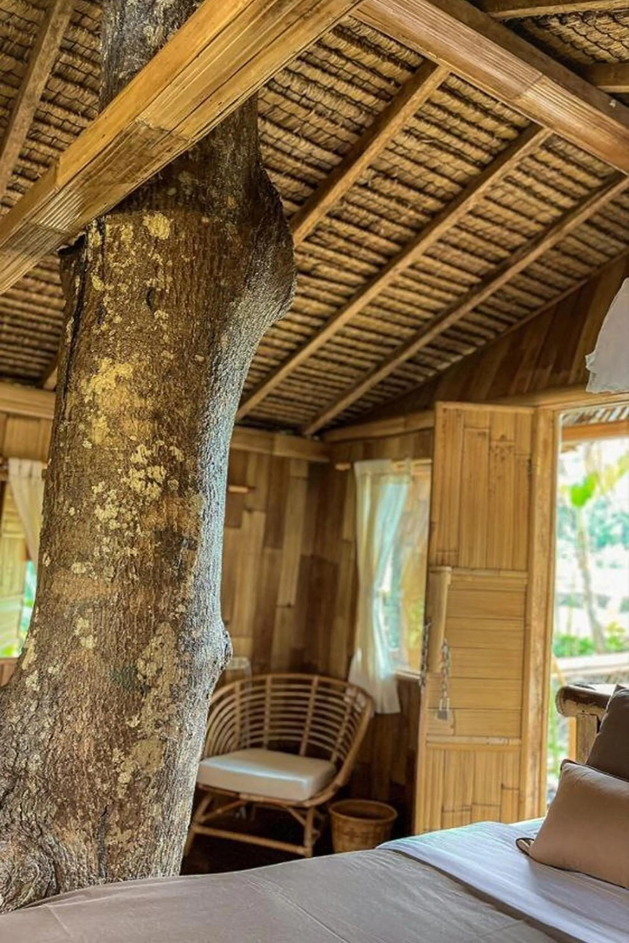 Photo of the whole room in Tiny ECO Bamboo Ubud