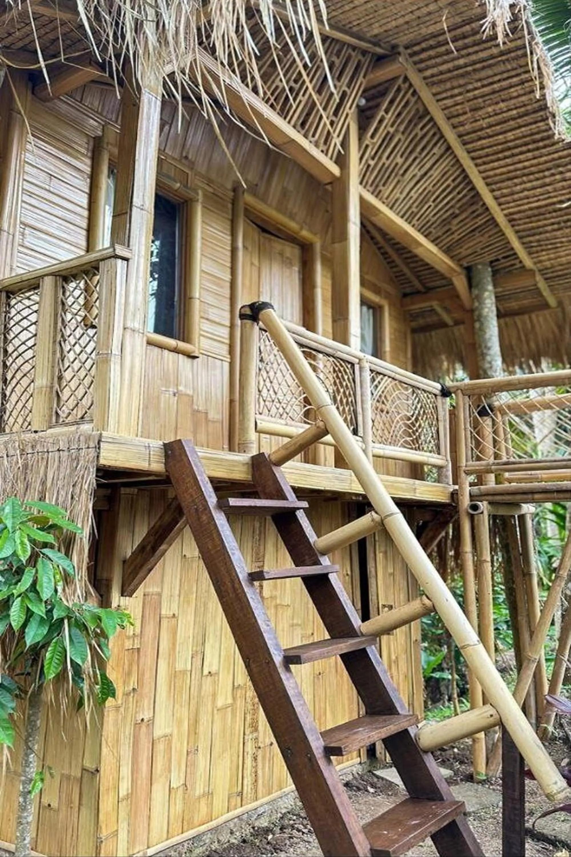 Property building in Tiny ECO Bamboo Ubud