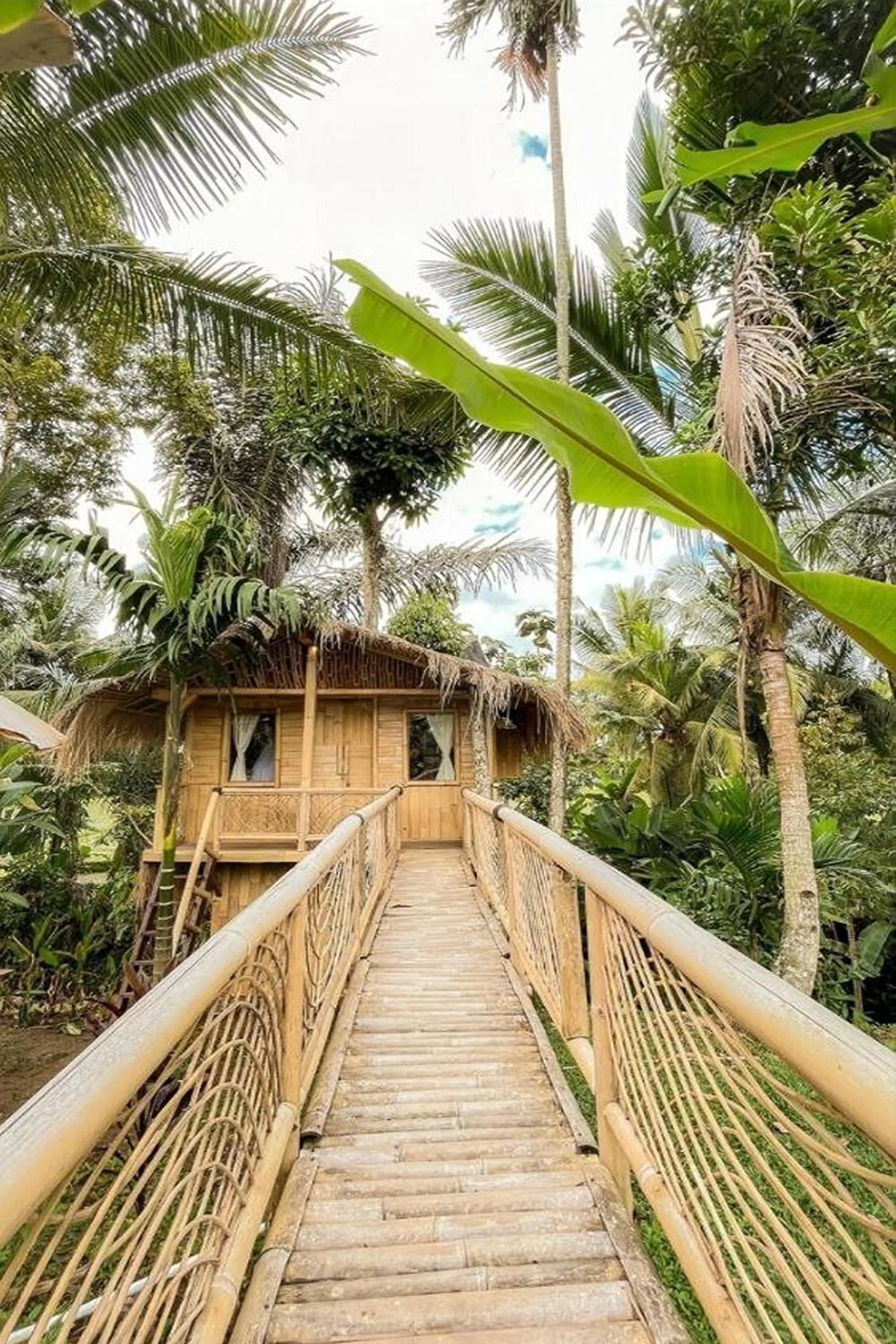 Garden view in Tiny ECO Bamboo Ubud