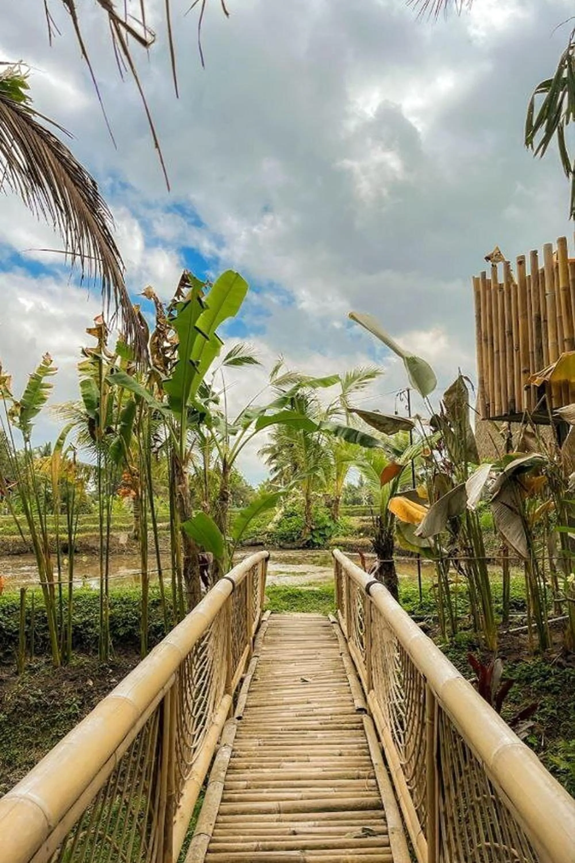Garden view in Tiny ECO Bamboo Ubud