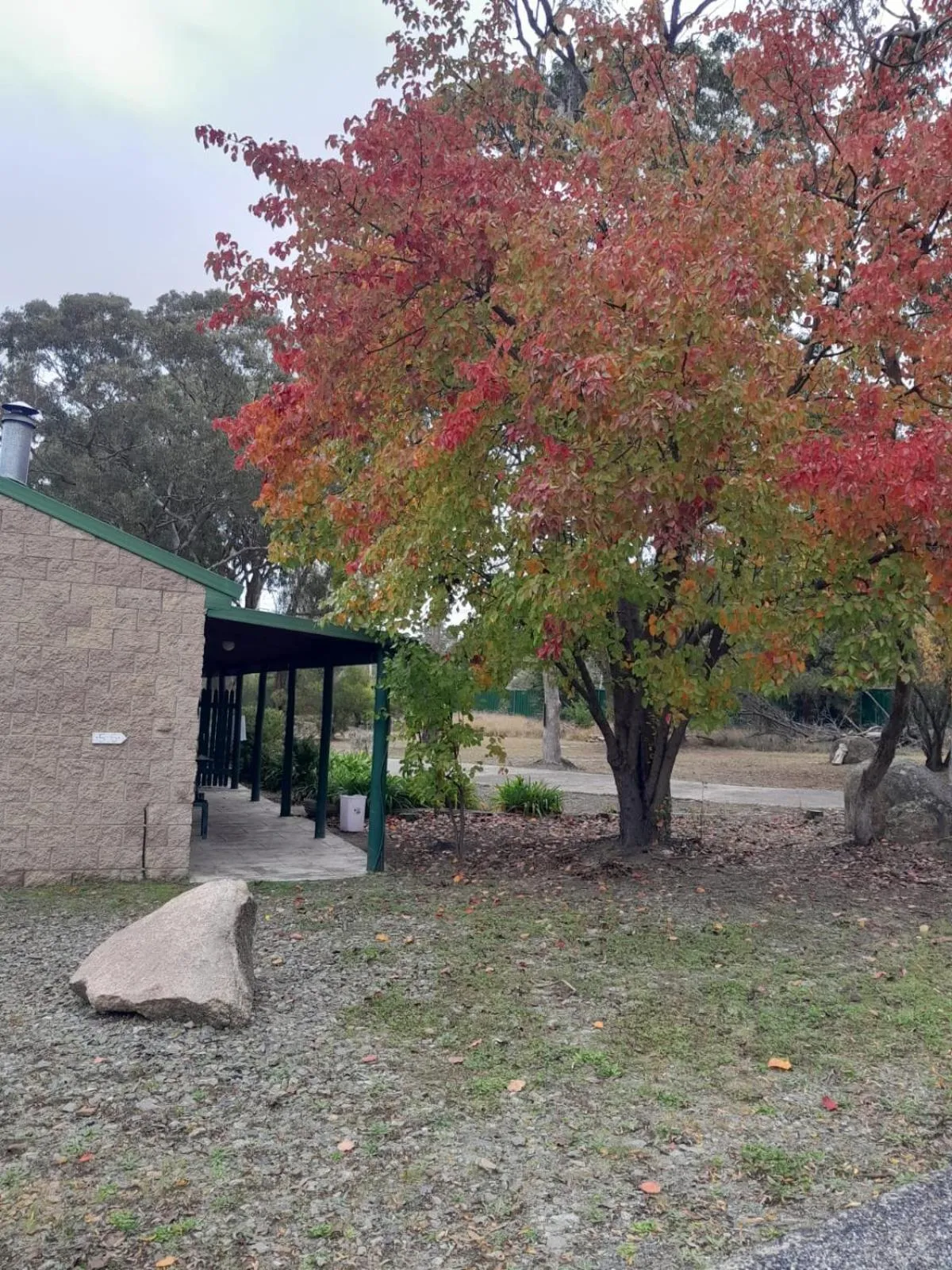 Natural landscape in Murray Gardens Motel