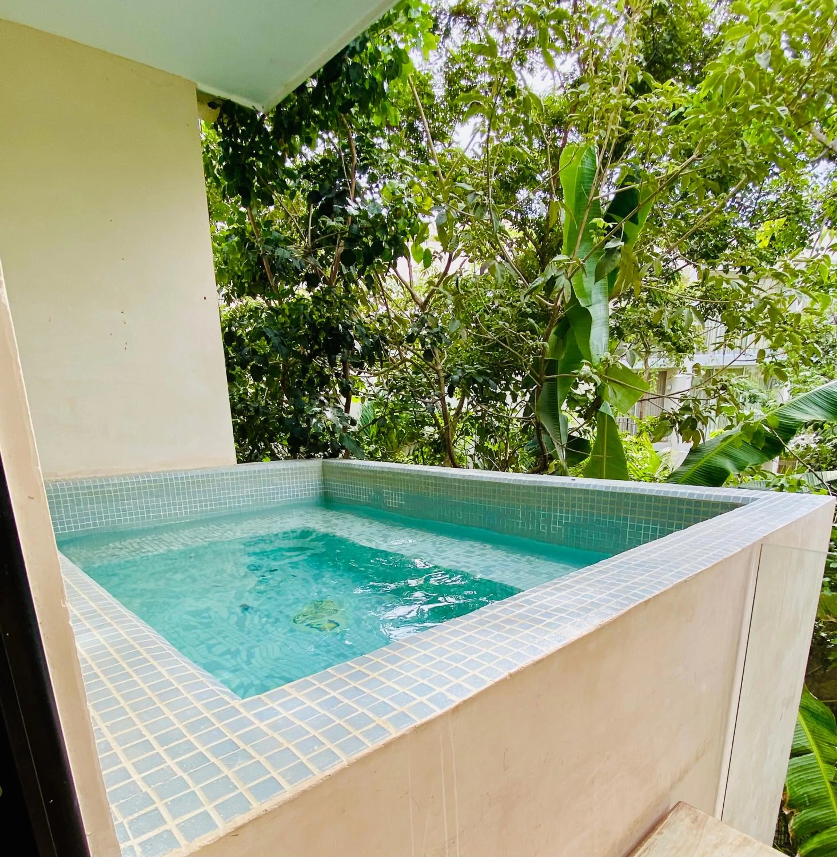 Swimming Pool in Cacao Tulum departamentos