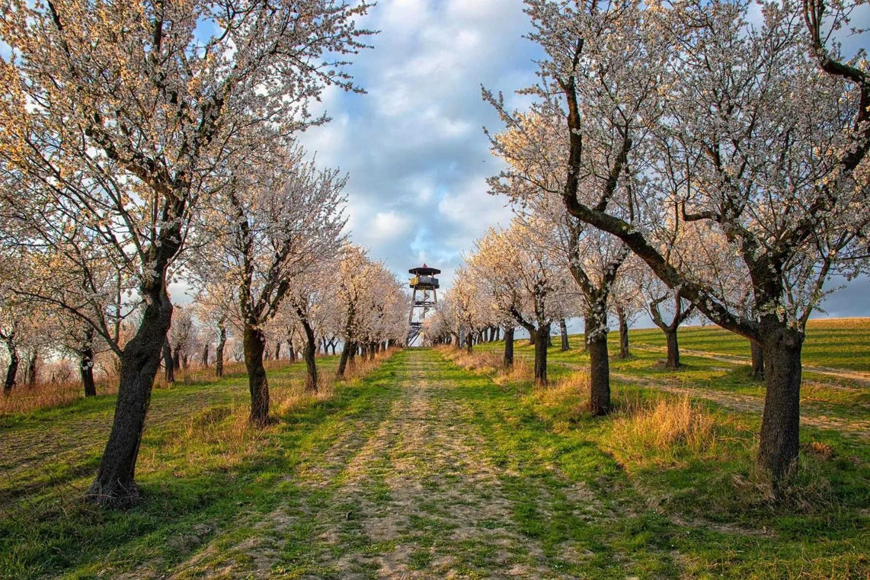 Hotel Rustikal Hustopeče - Vinný ráj s chutěmi jižní Moravy