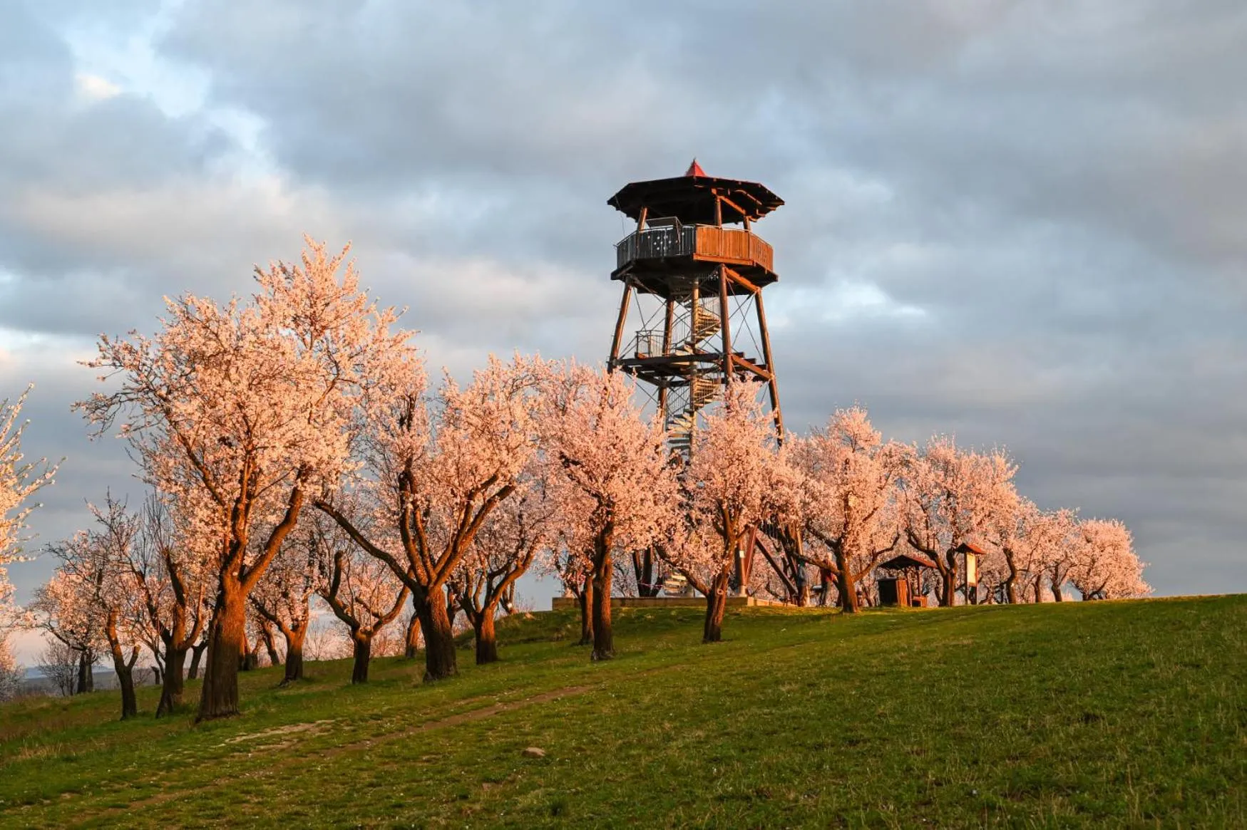 Hotel Rustikal Hustopeče - Vinný ráj s chutěmi jižní Moravy