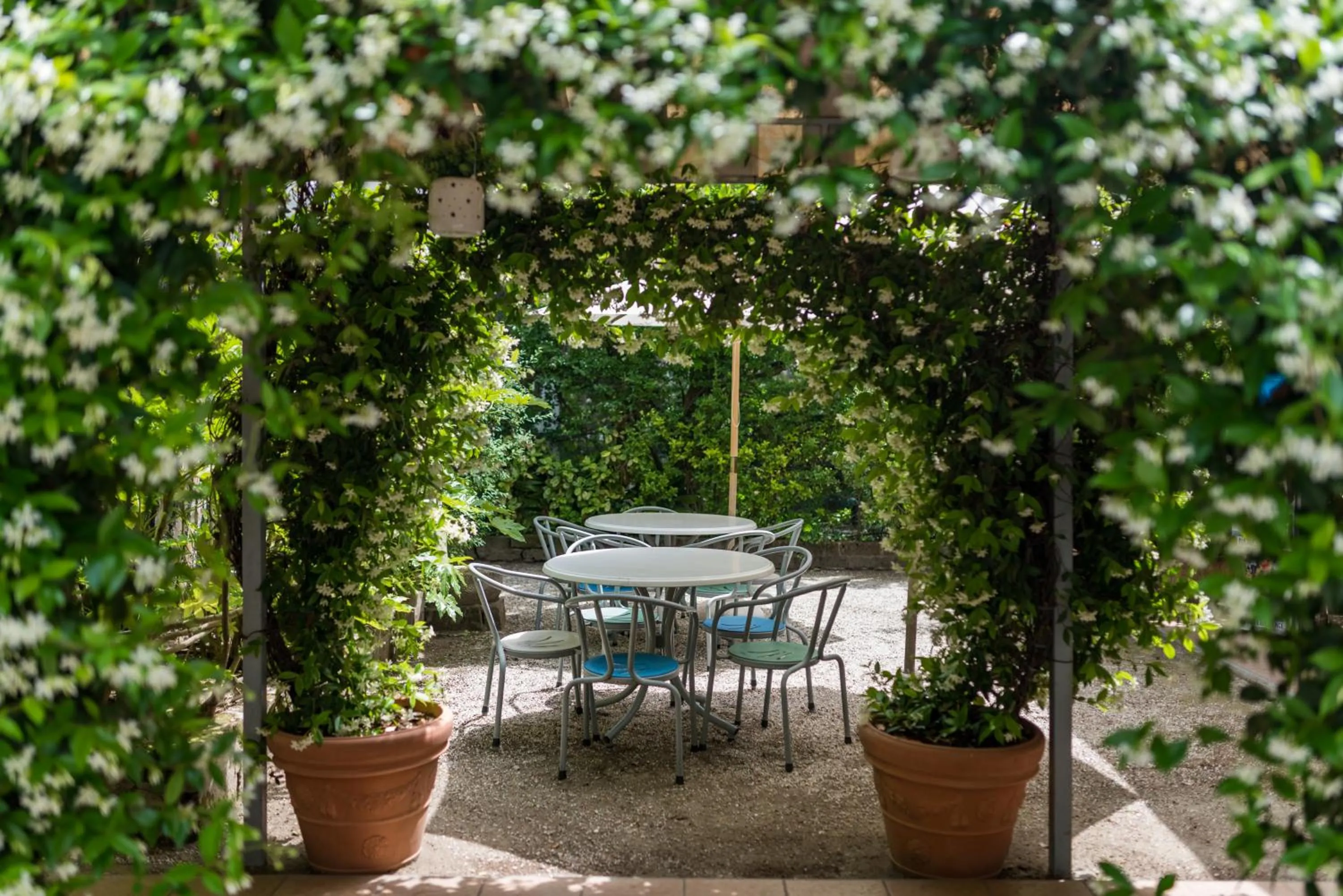 Garden view in Hotel Villa Rosa