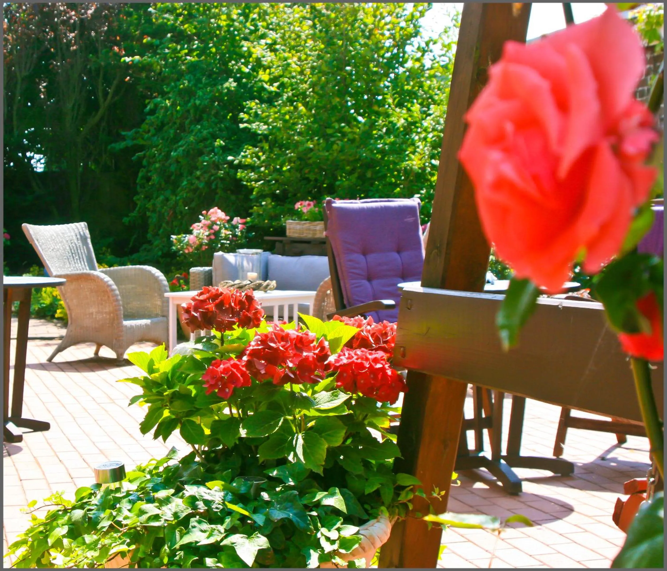 Garden in Landhaus Krabbe von Greetsiel