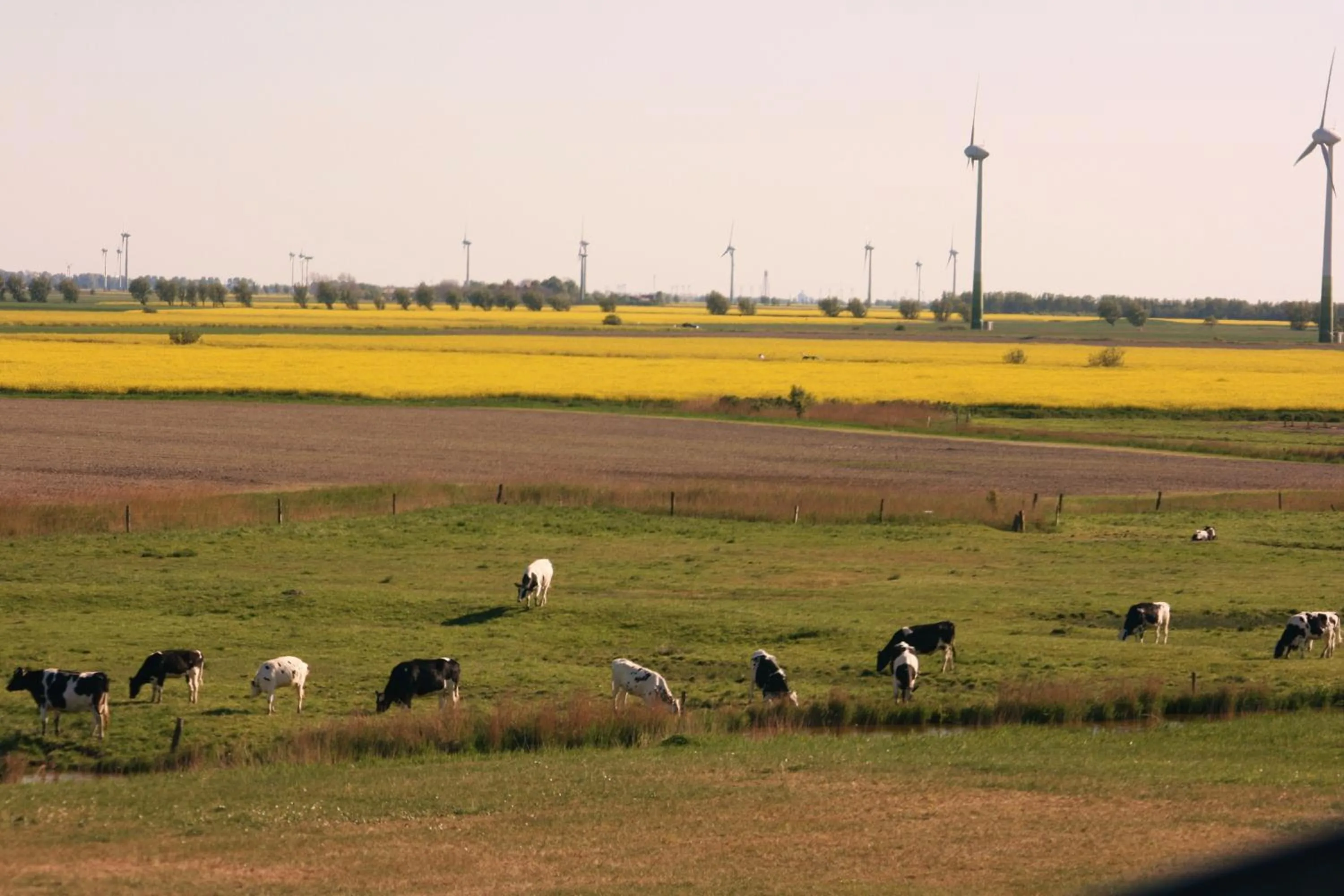 Area and facilities in Landhaus Krabbe von Greetsiel