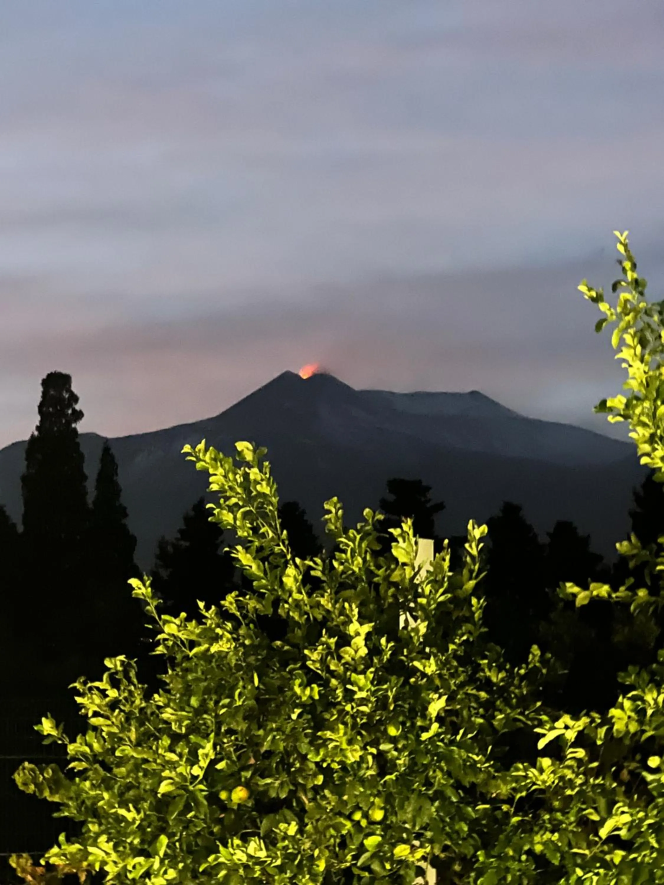 Virdamuri - Etna Country Resort