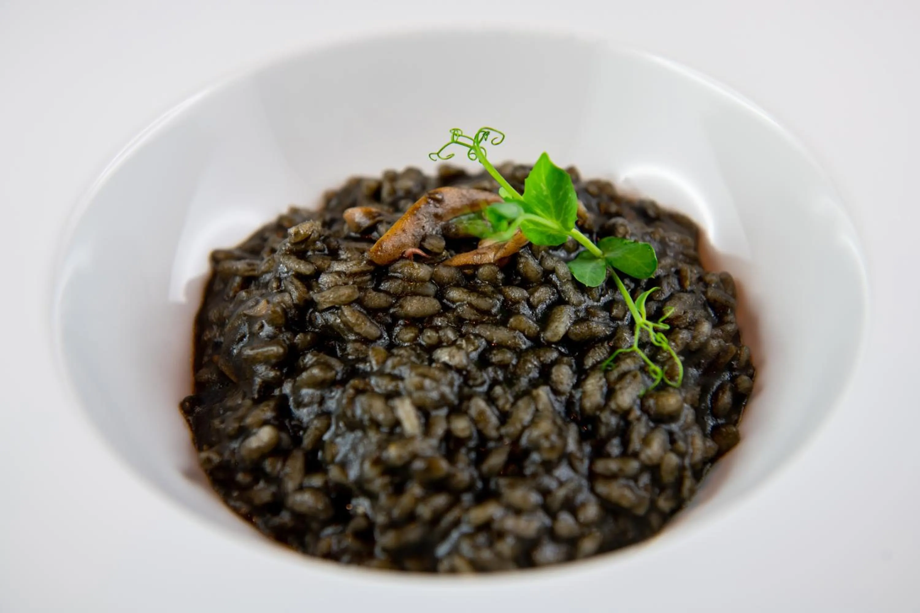 Restaurant/places to eat in Guest House Train Station Venice - Atika & Atif