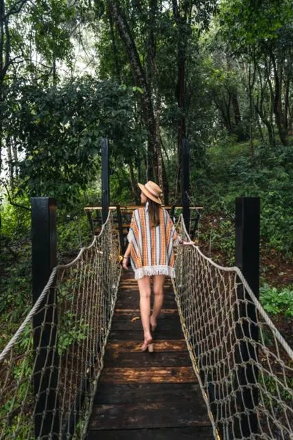 Natural landscape in Lannawild