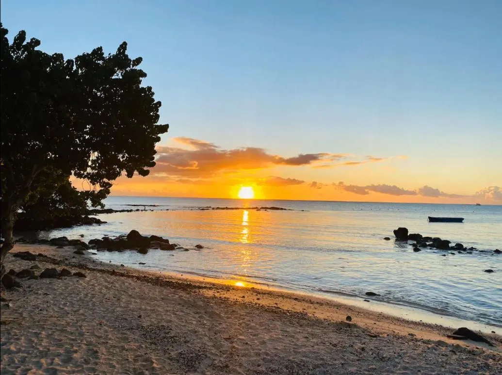 Other in Choisy Les Bains D2 by Host Agents