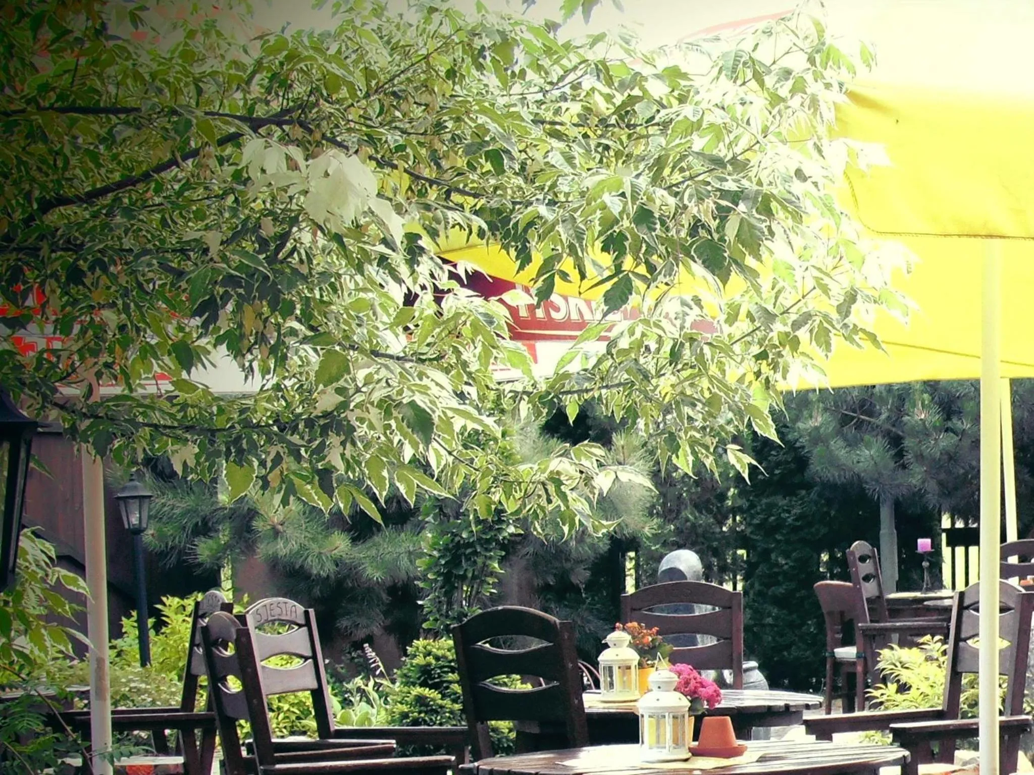 Area and facilities in Hotel Sjesta