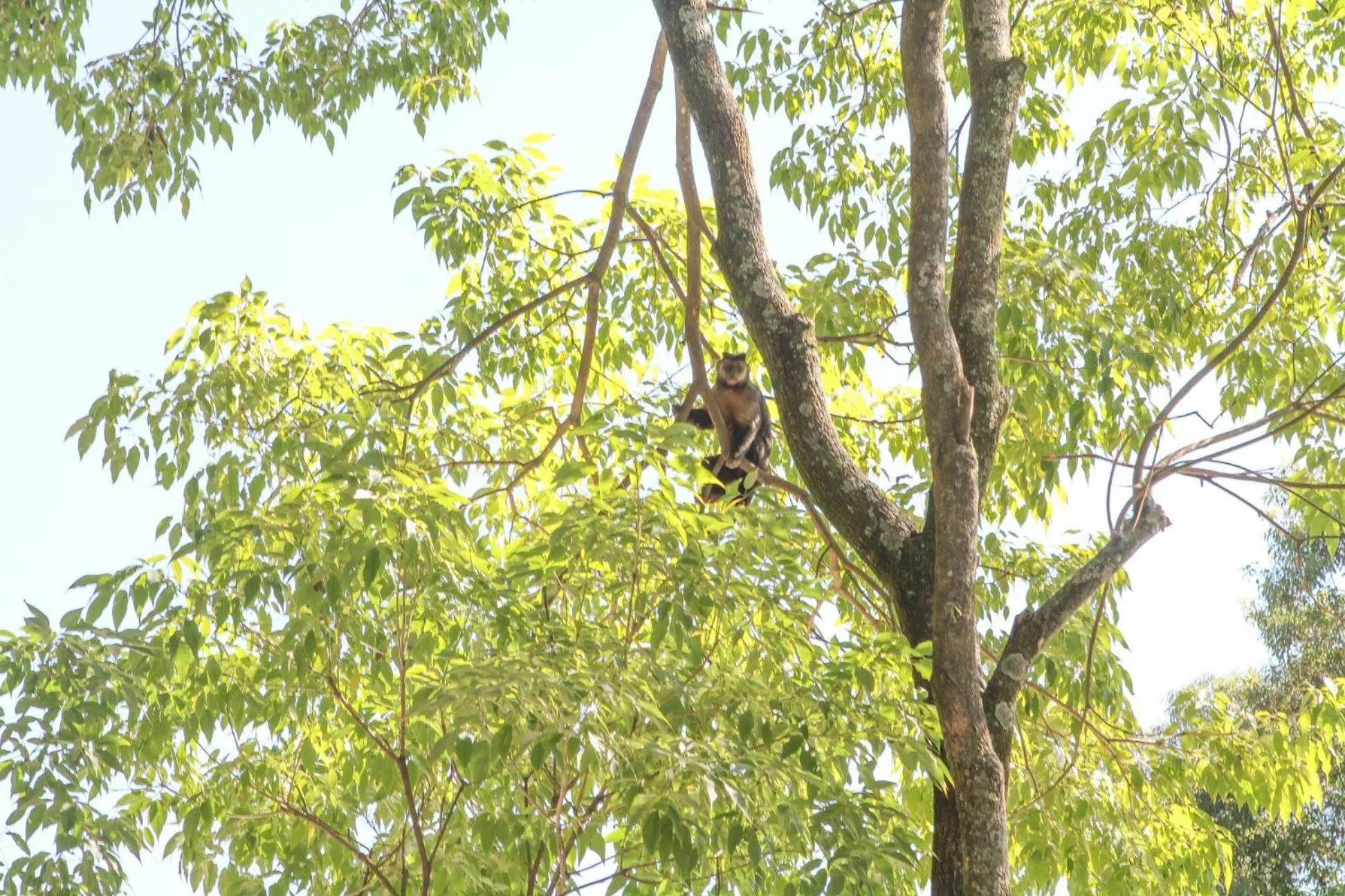 Natural landscape in Les Jardins de Rio Boutique Hotel