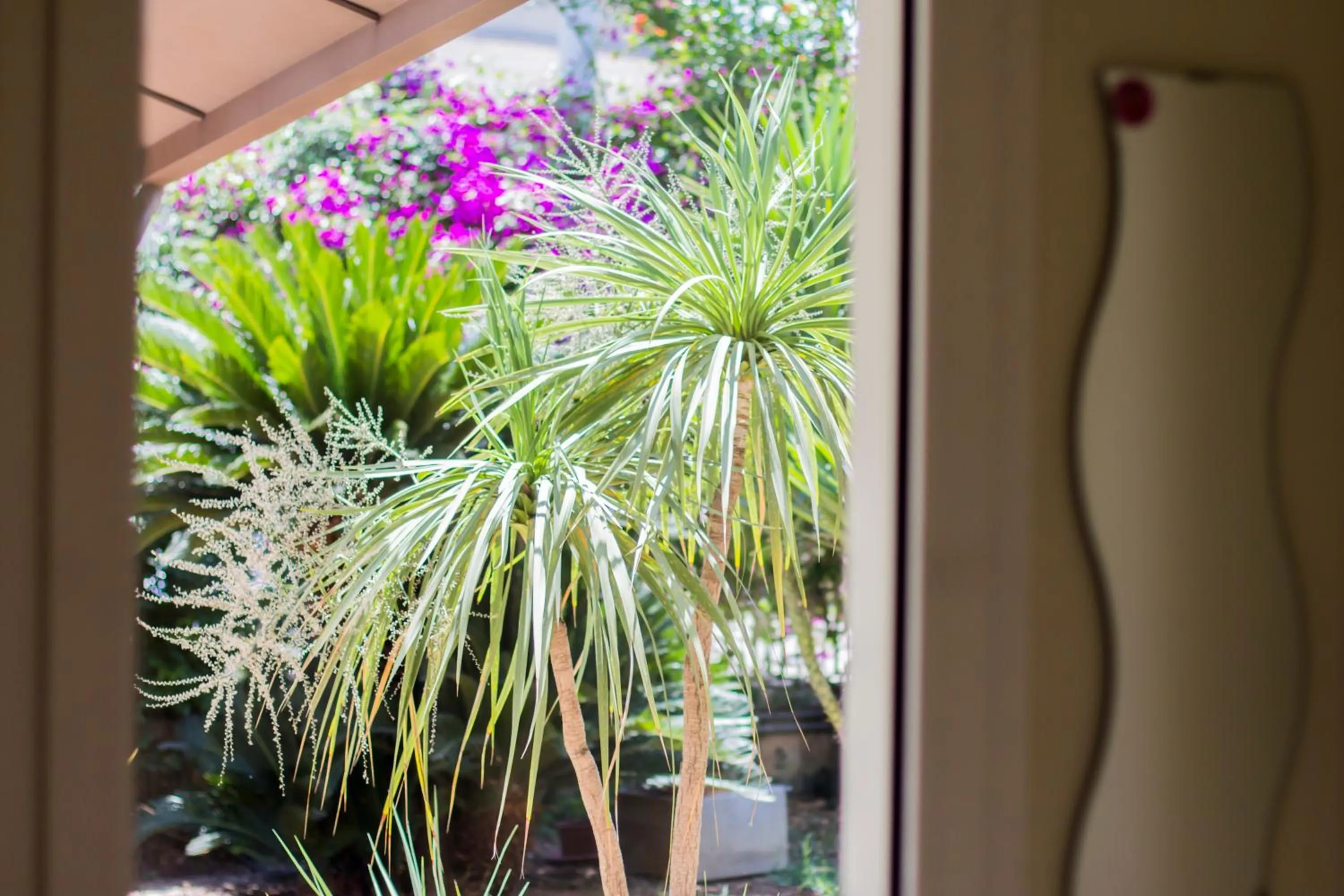 Garden in Mandarinoarancio