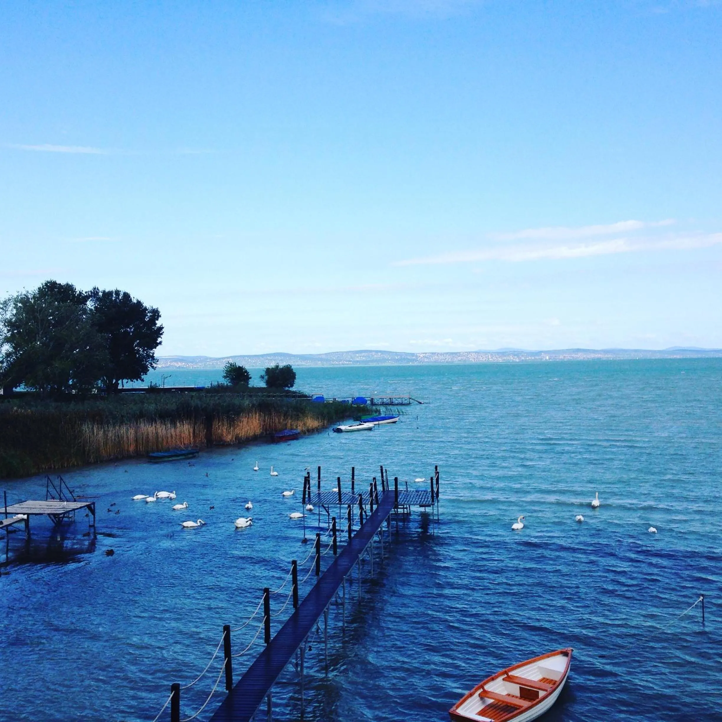 Fishing in Royal Mediterran