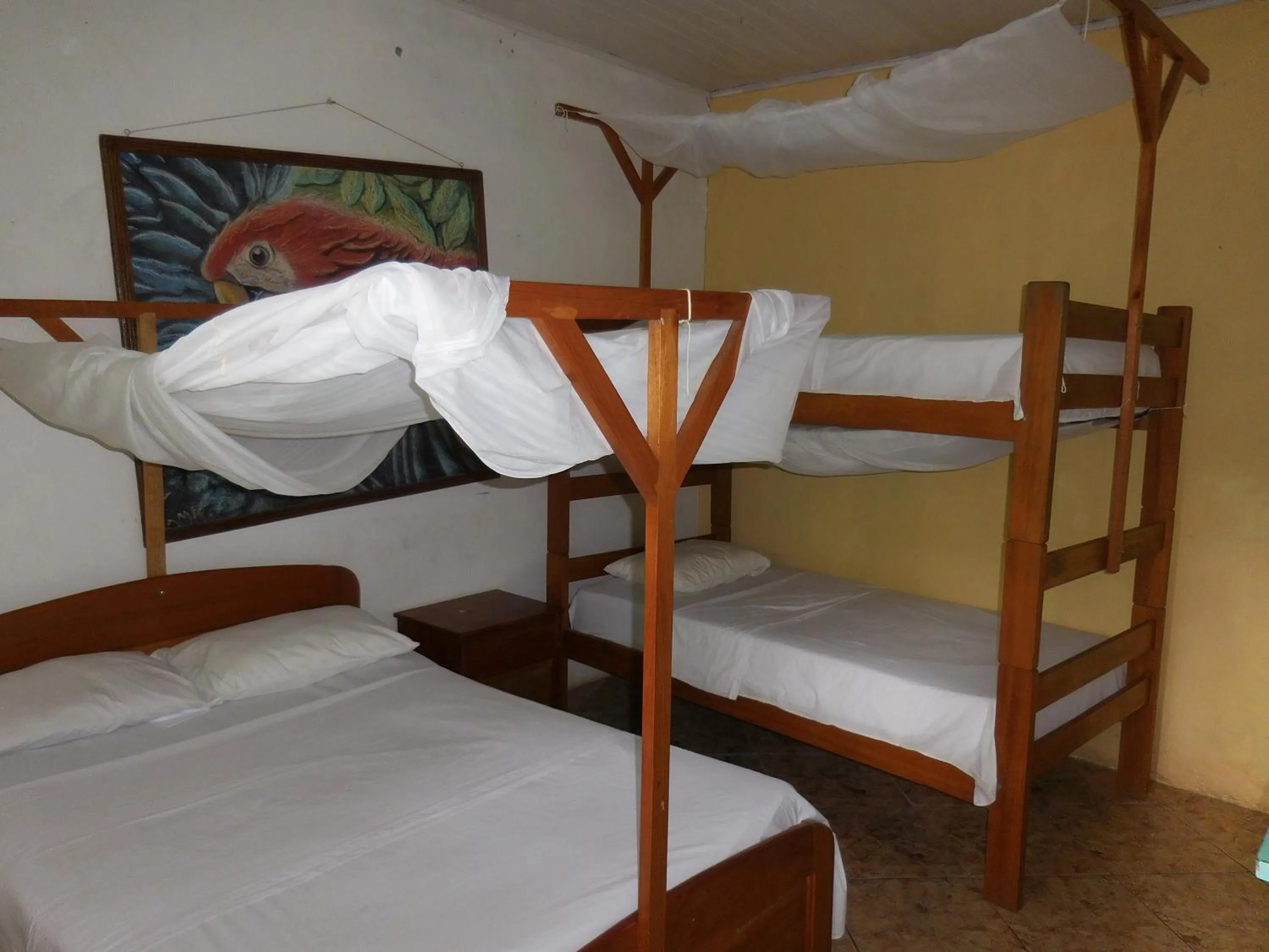 Photo of the whole room, Bed in Tambopata Hostel