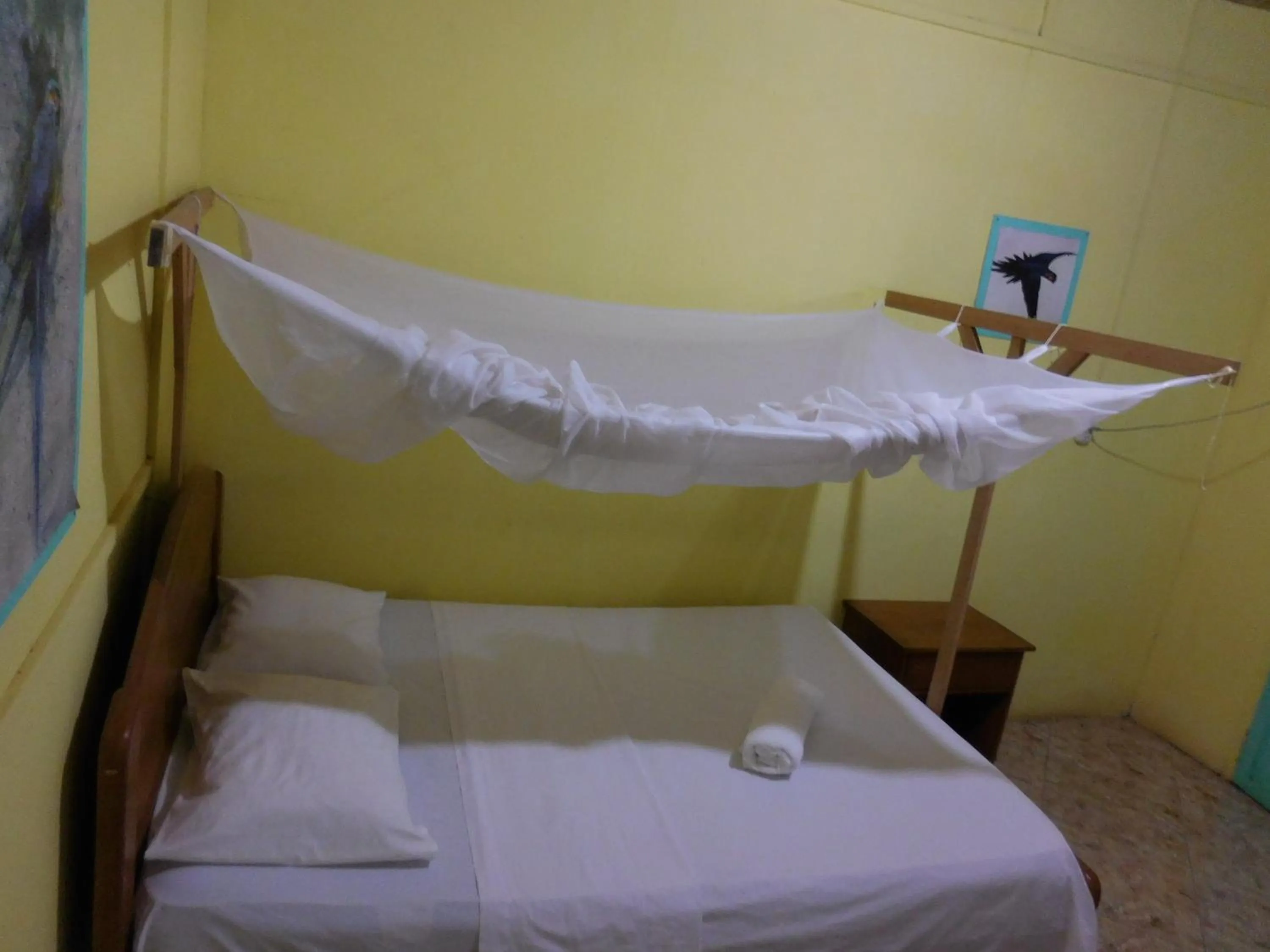 Photo of the whole room, Bed in Tambopata Hostel