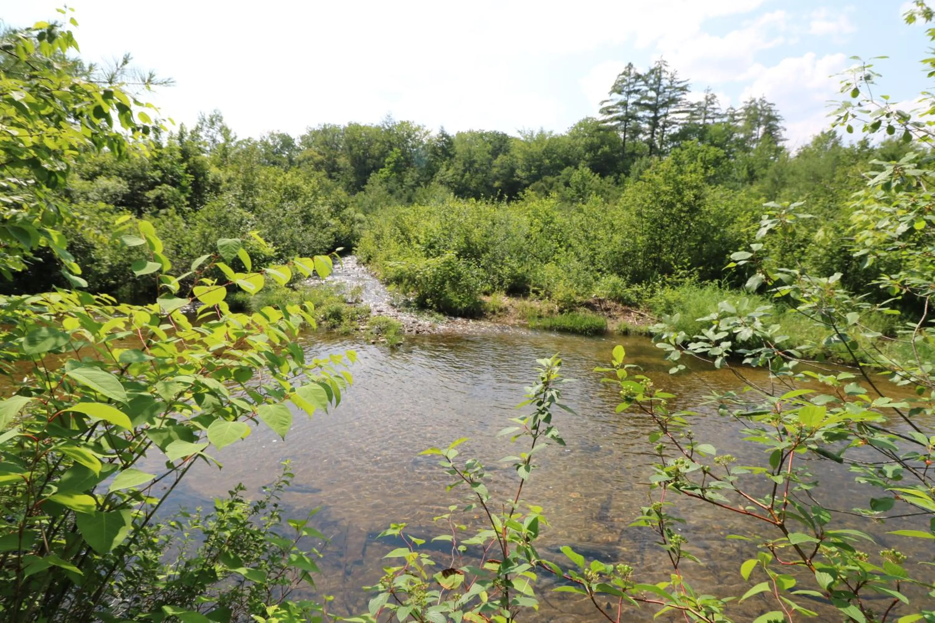 River view in The Villager Motel