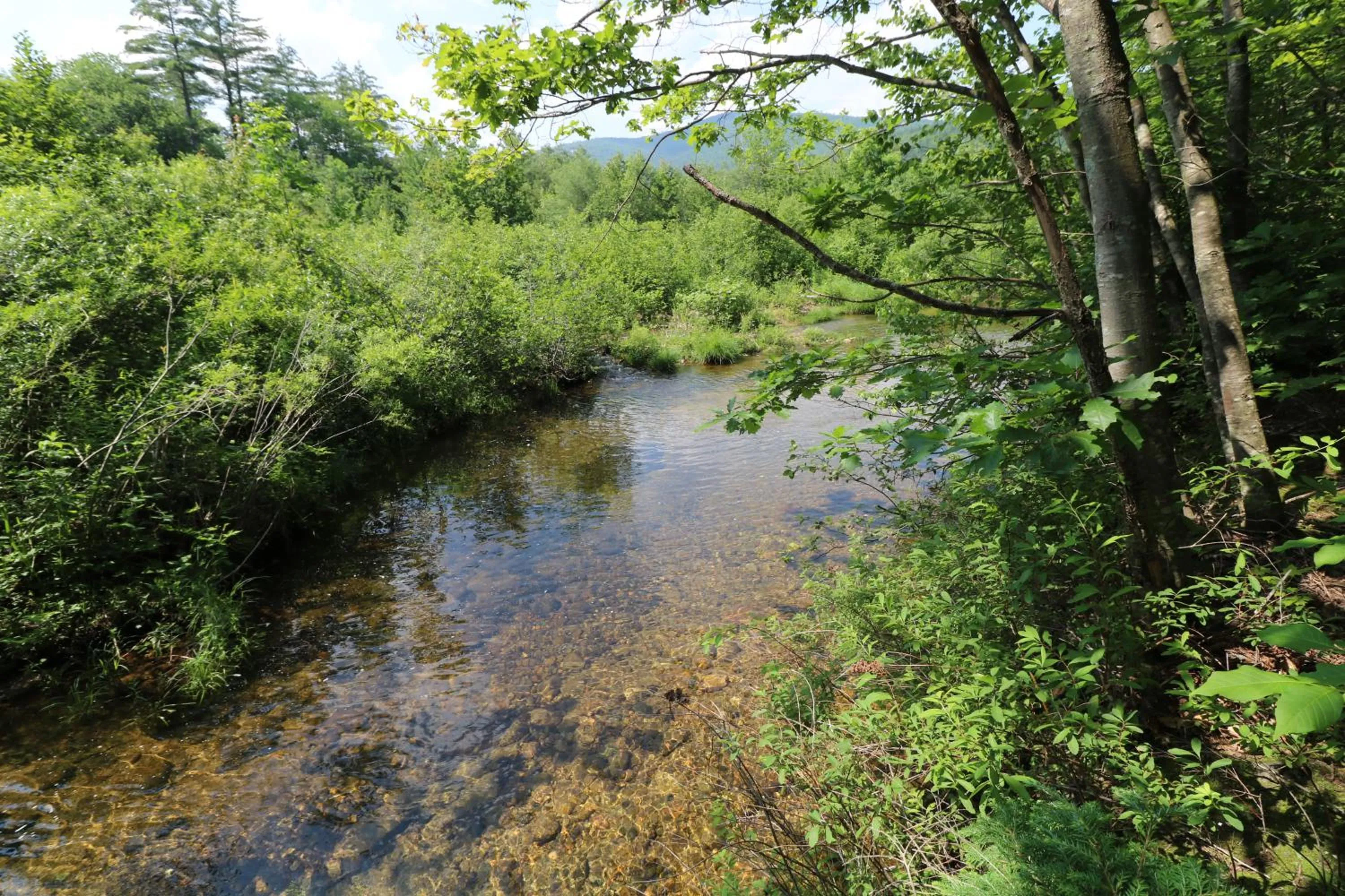 River view in The Villager Motel