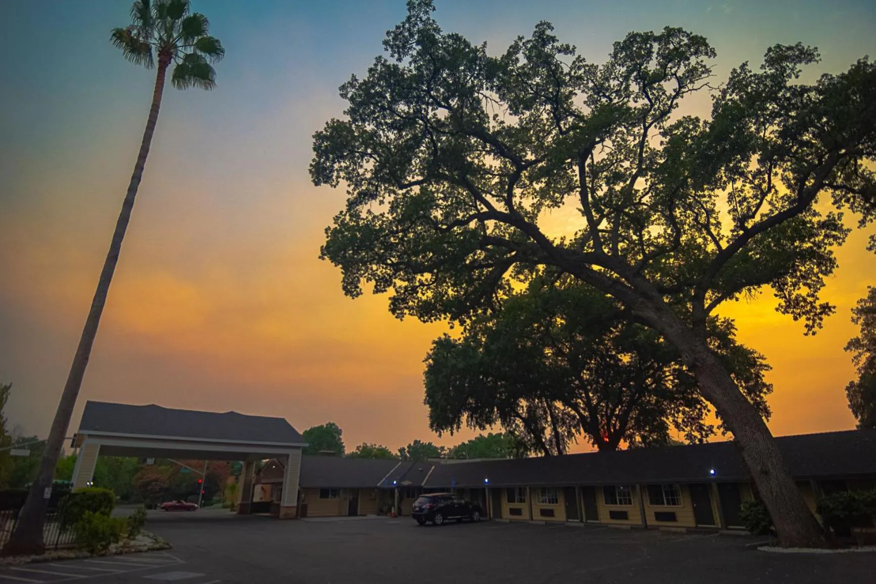 Property building in Safari Inn - Chico