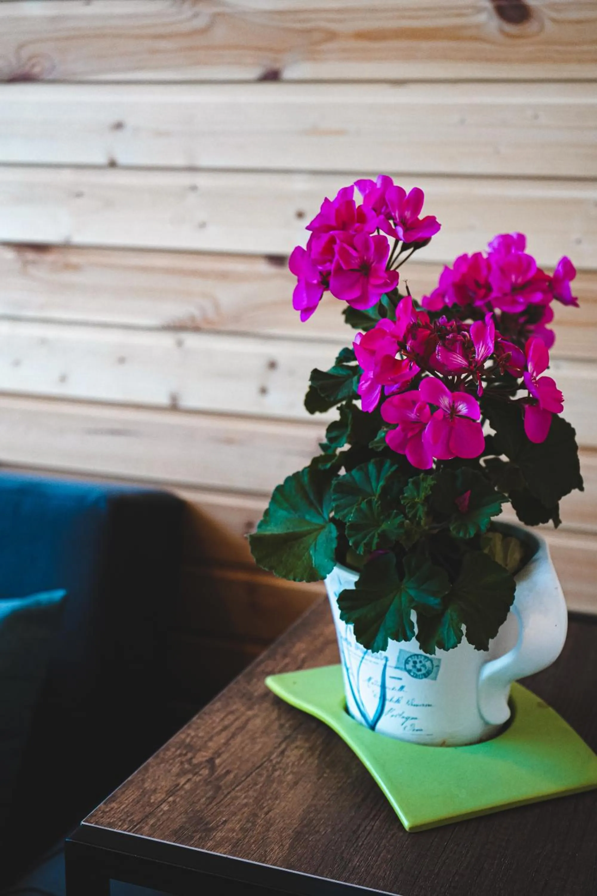 Traveler's Cottages in Kazbegi