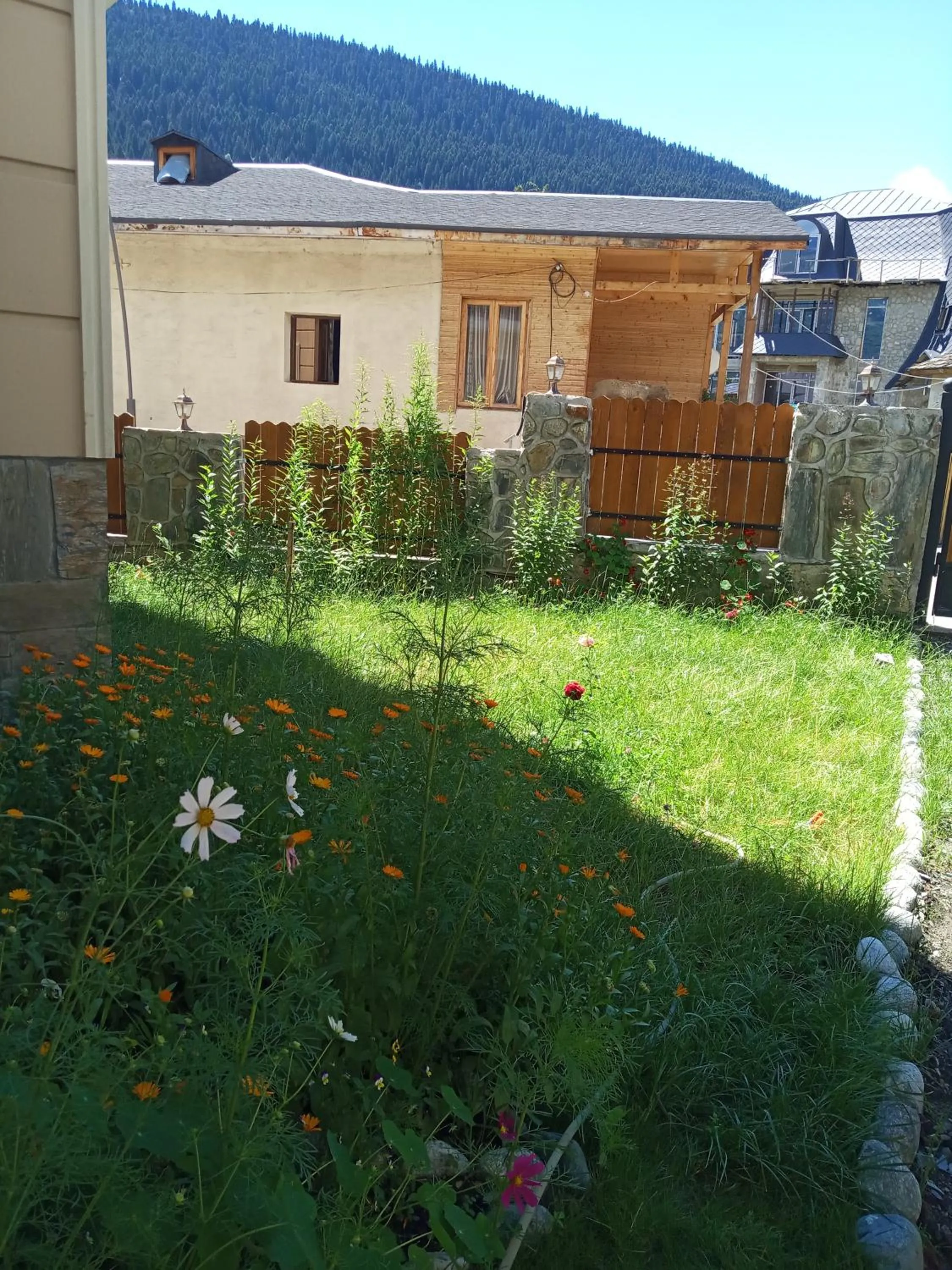 Garden in Hotel Elite House