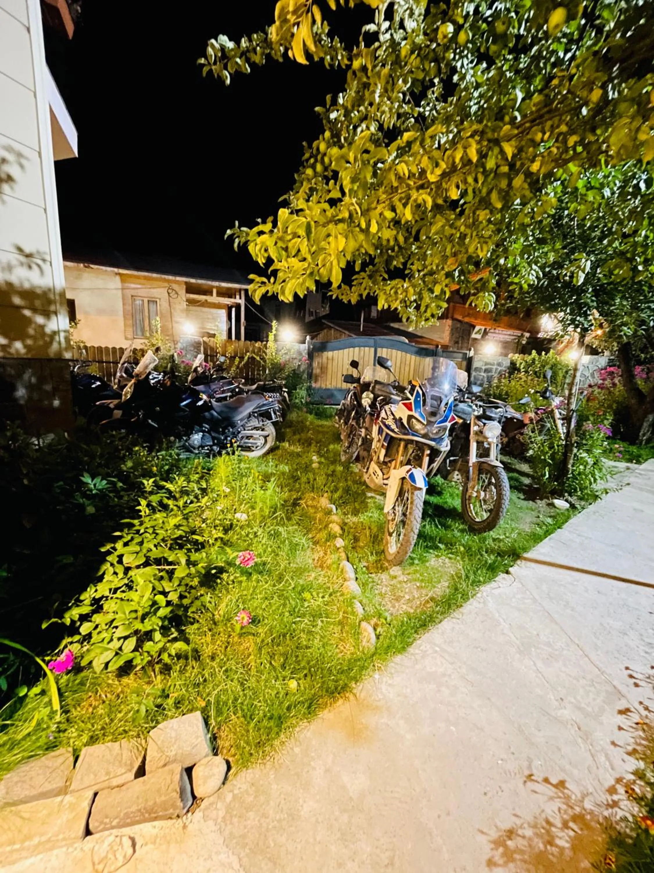 Garden in Hotel Elite House