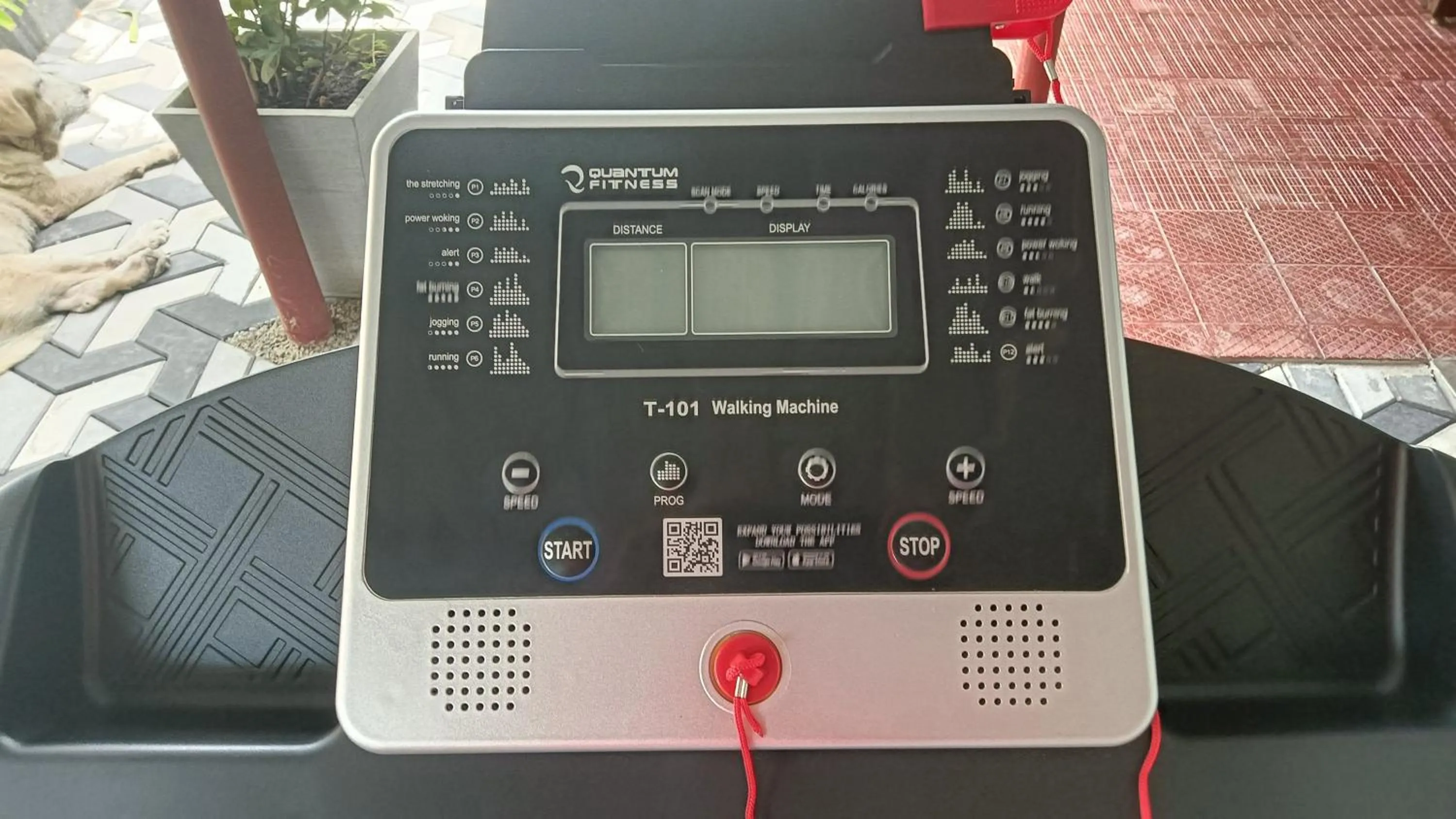 Spa and wellness centre/facilities in Palms Villa