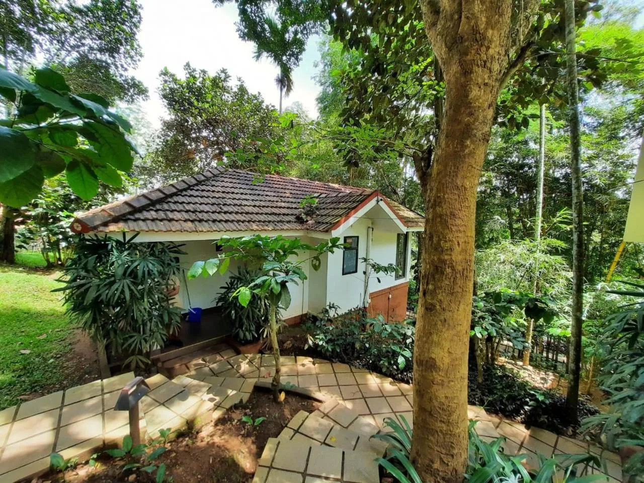 Property building in Willow Resorts Wayanad