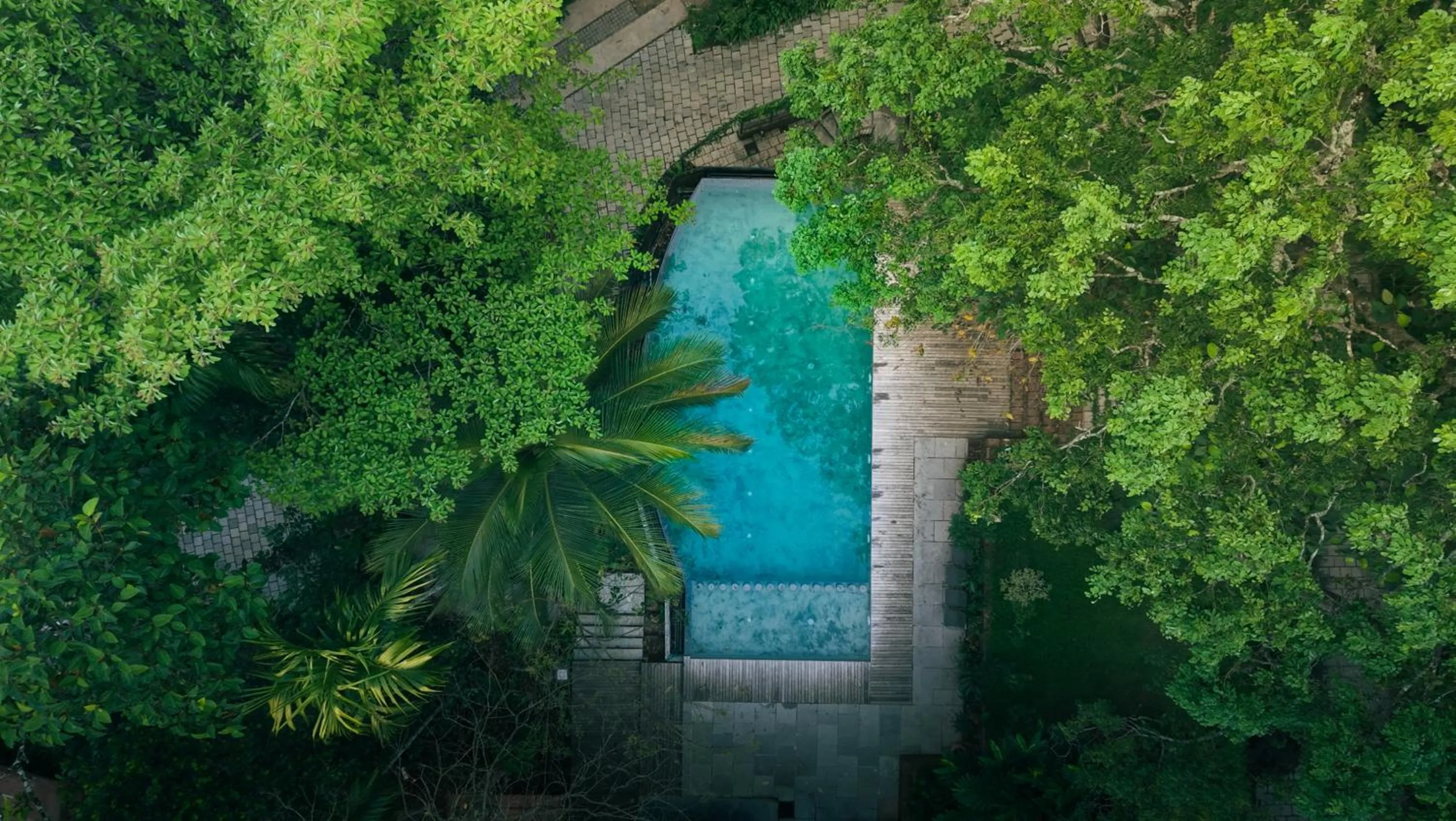 Swimming pool in Willow Resorts Wayanad