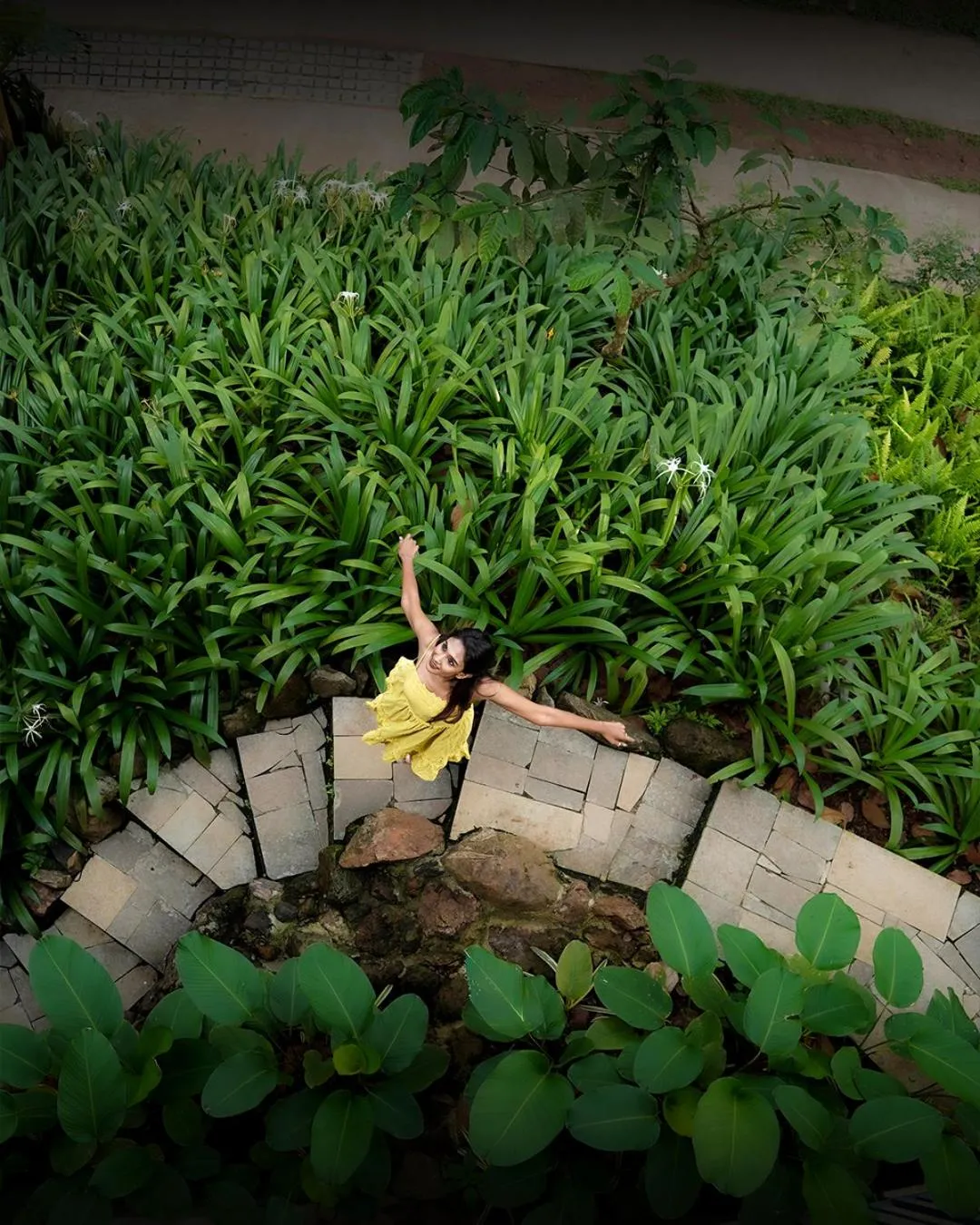 Garden in Willow Resorts Wayanad